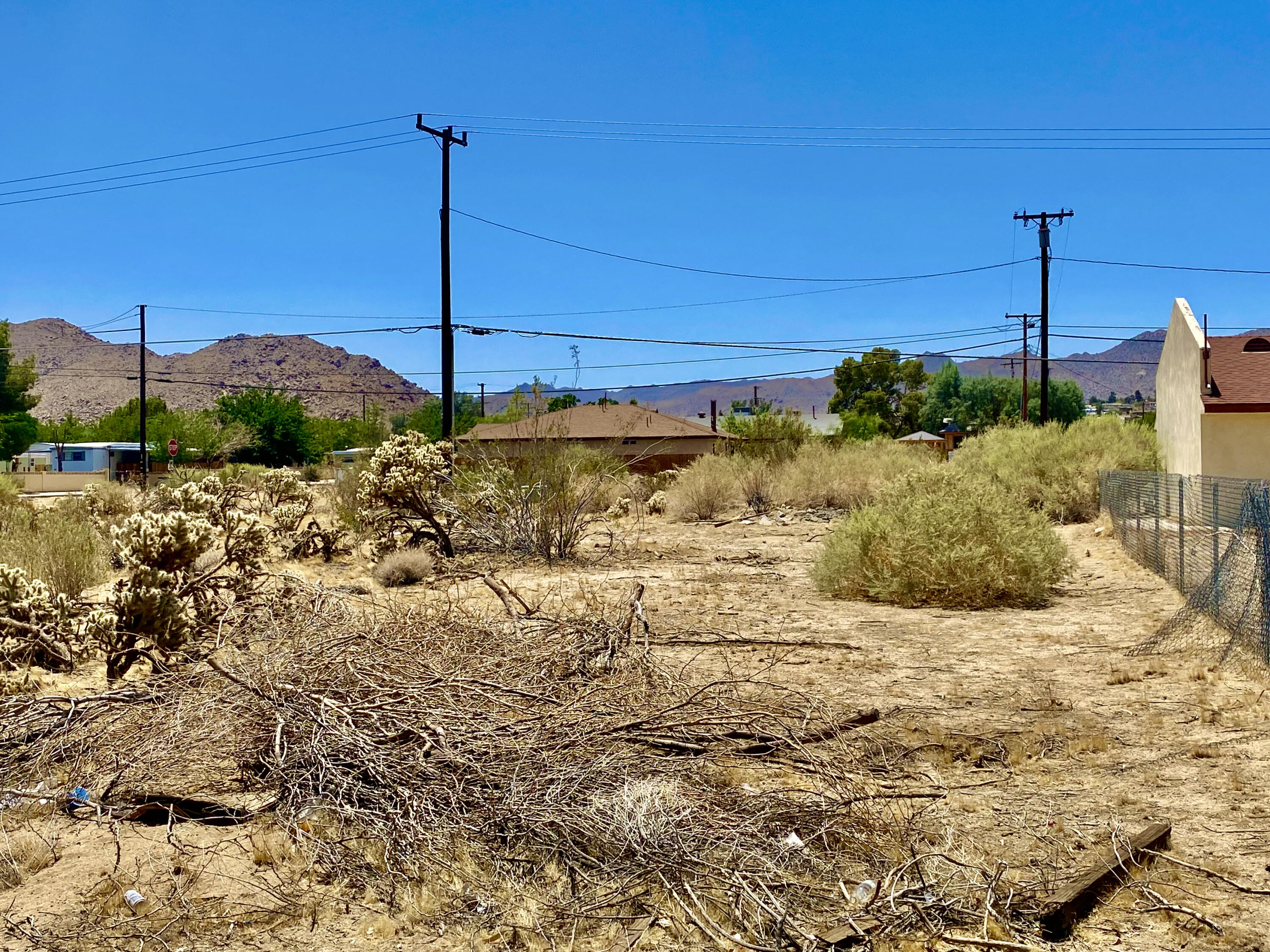 210 Chollita Road Joshua Tree, CA 92252 - Photo 16 of 32 a view of a backyard