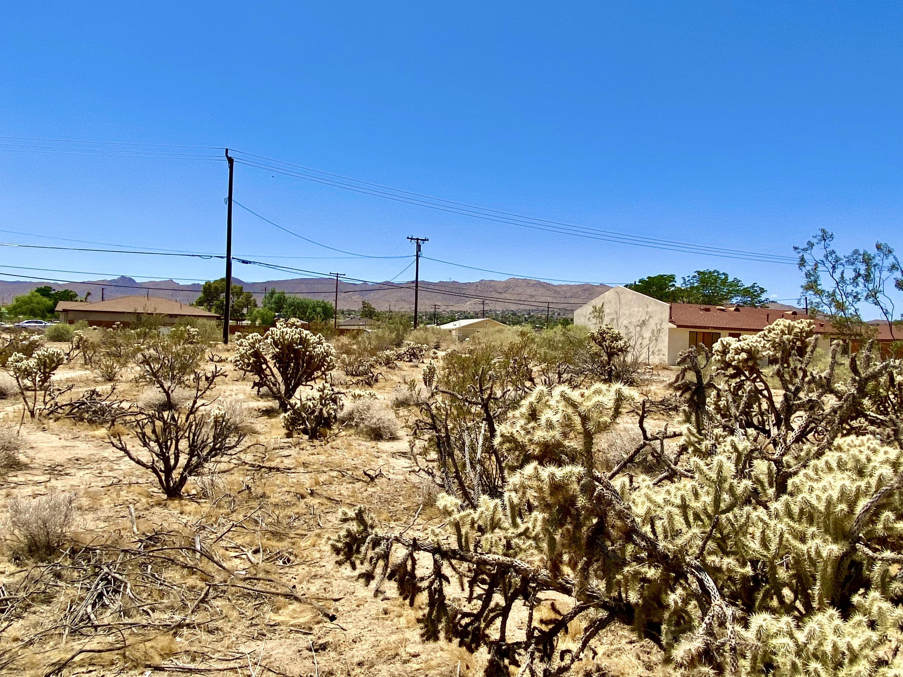 210 Chollita Road Joshua Tree, CA 92252 - Photo 20 of 32 a view of a sky