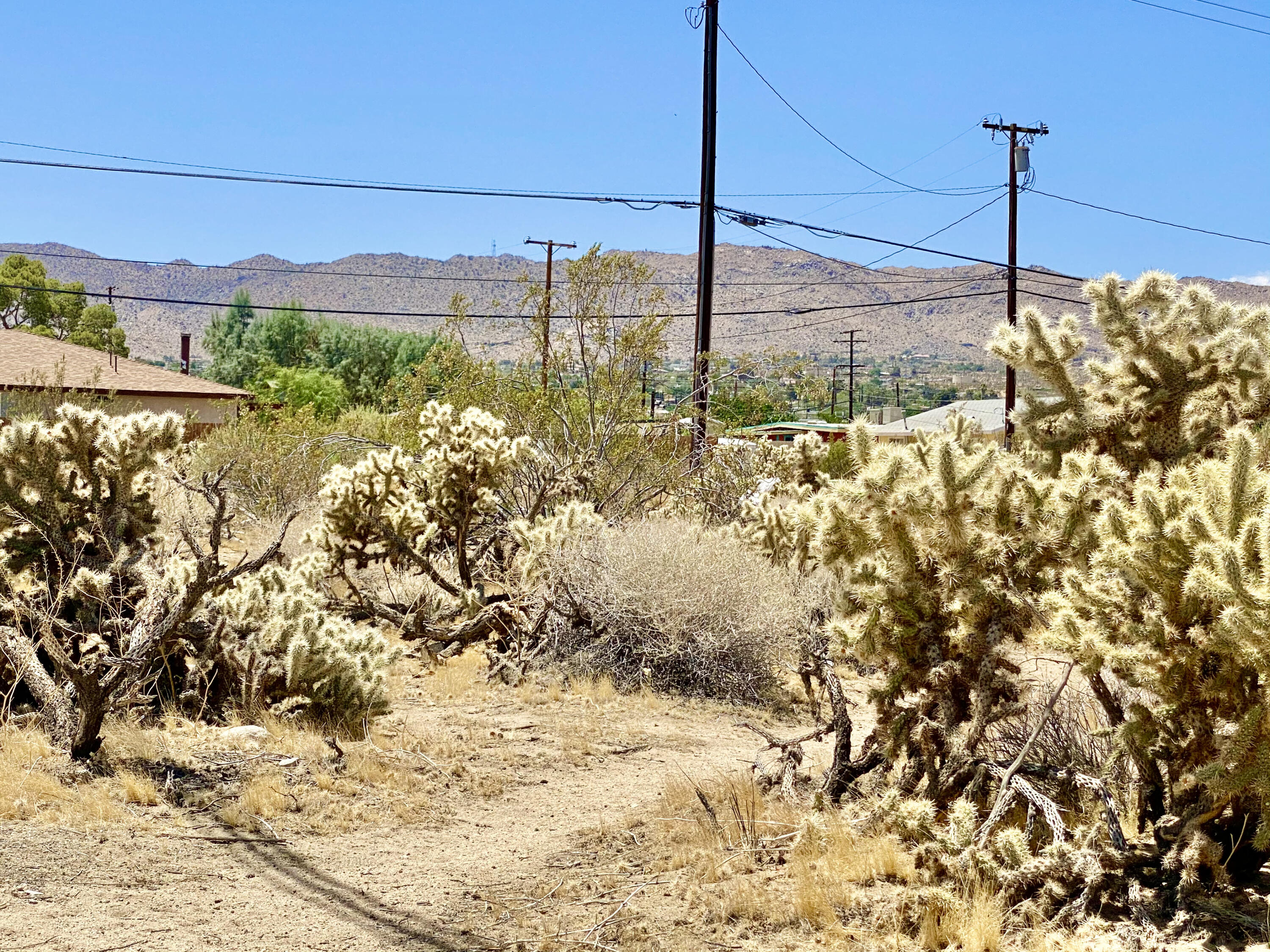 210 Chollita Road Joshua Tree, CA 92252 - Photo 24 of 32