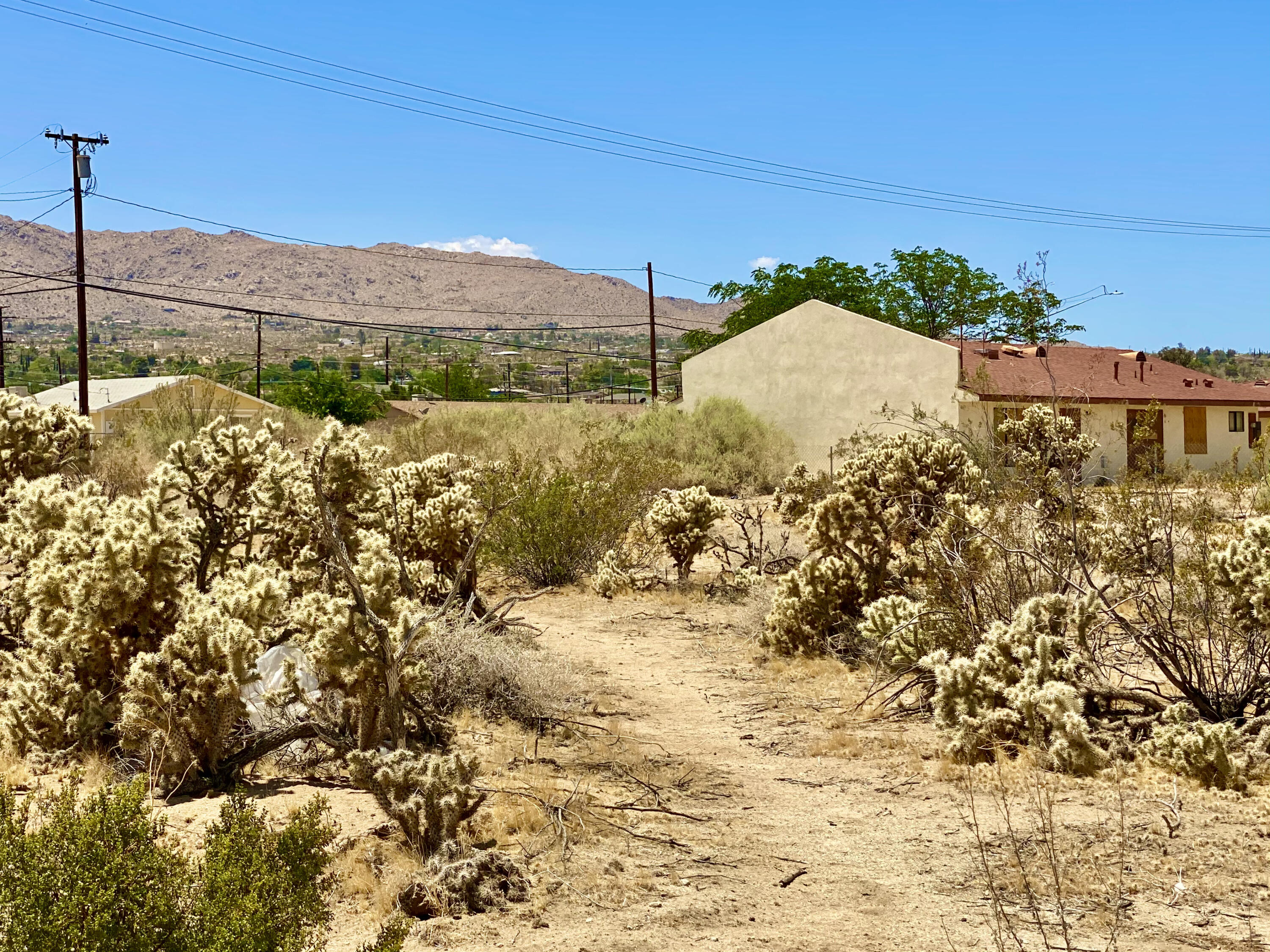 210 Chollita Road Joshua Tree, CA 92252 - Photo 25 of 32 a view of a lake