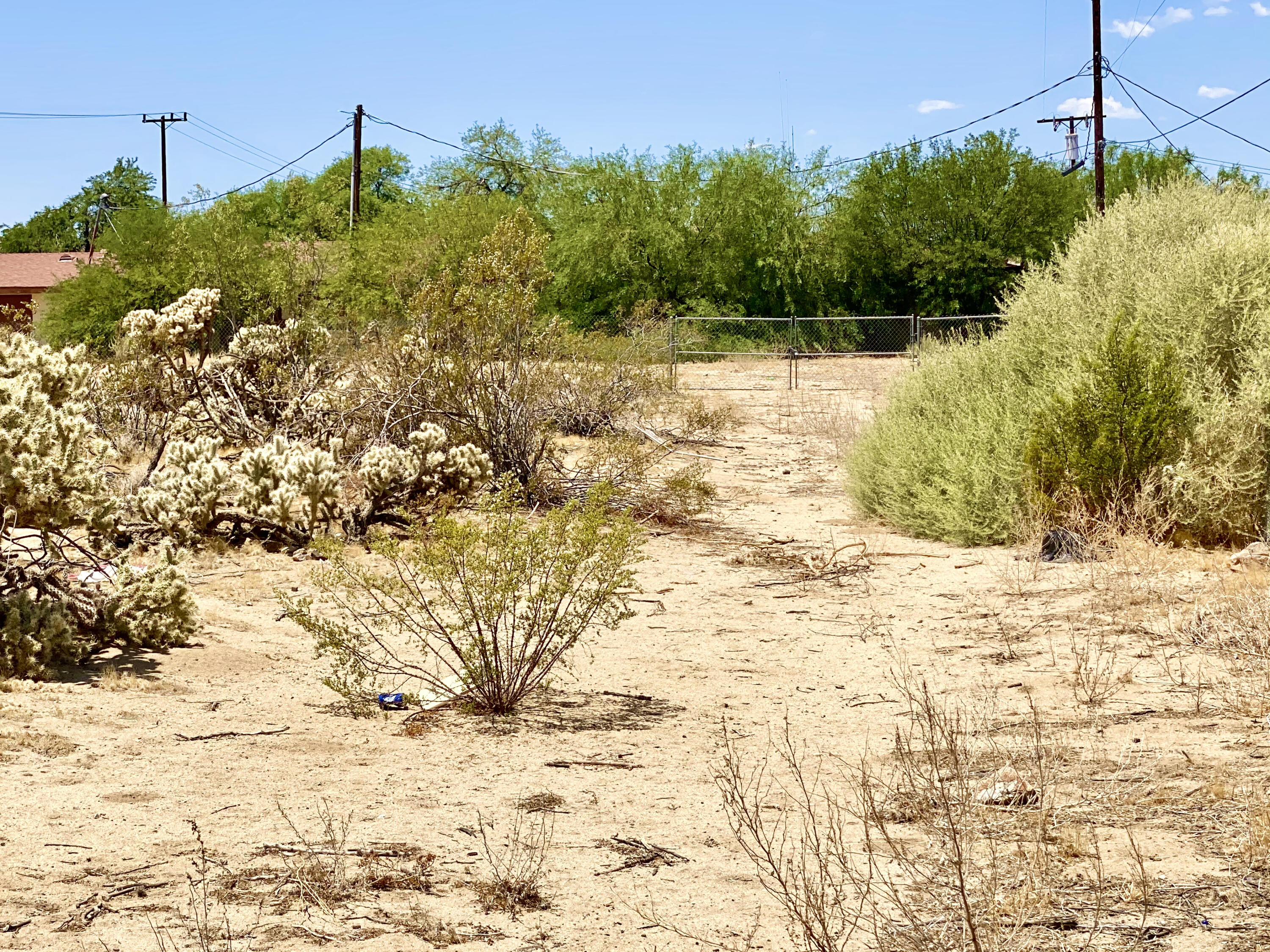 210 Chollita Road Joshua Tree, CA 92252 - Photo 26 of 32 a view of yard