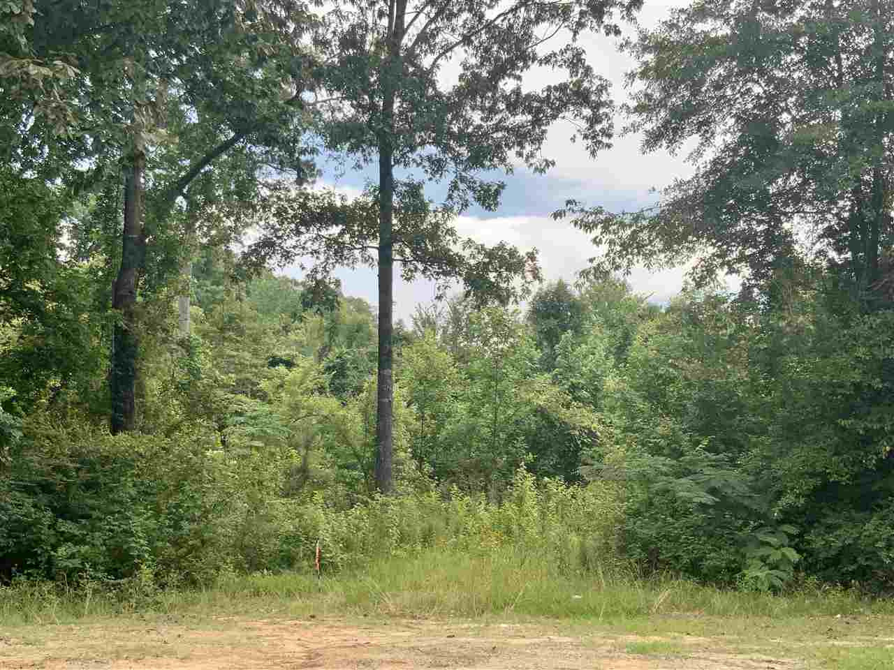 0 Midway Odom Road Forest, MS 39074 - Photo 1 of 5 Photo 1