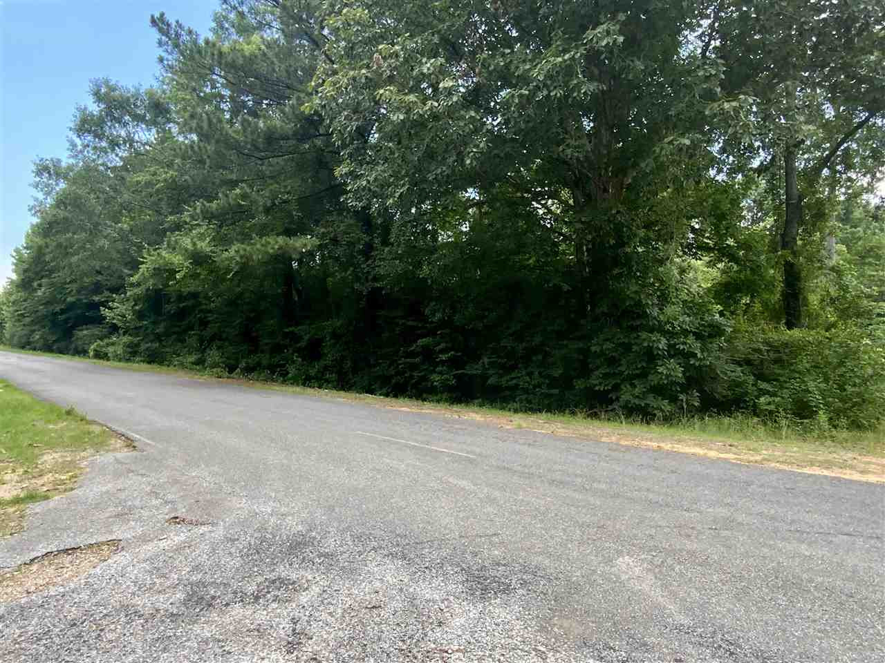 0 Midway Odom Road Forest, MS 39074 - Photo 2 of 5 Photo 2