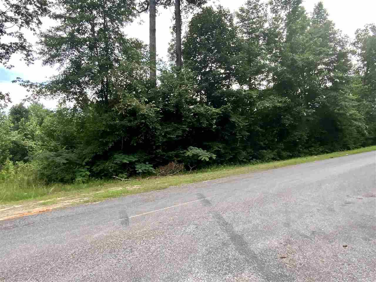 0 Midway Odom Road Forest, MS 39074 - Photo 3 of 5 Photo 3