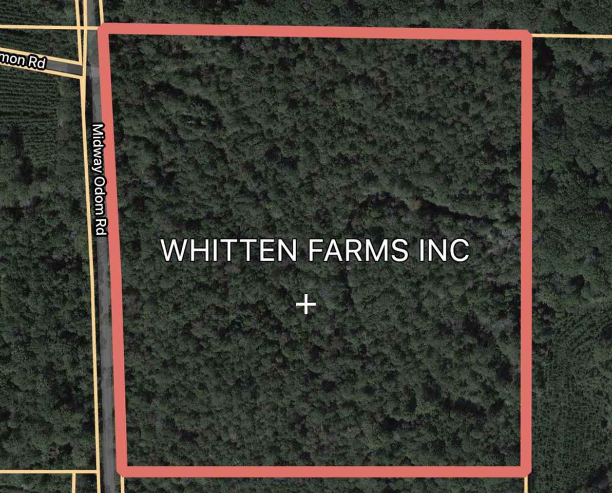 0 Midway Odom Road Forest, MS 39074 - Photo 4 of 5 Photo 4
