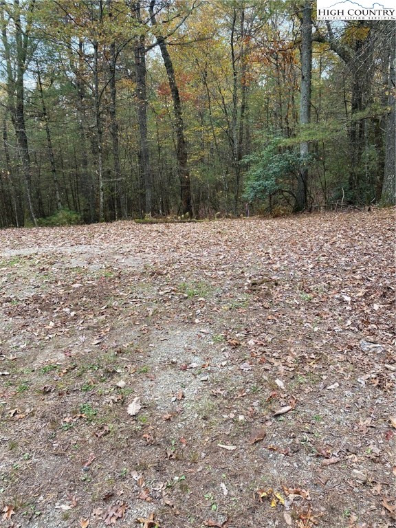 652 Brooks Road Glade Valley, NC 28627 - Photo 13 of 17 Gallery Image 13