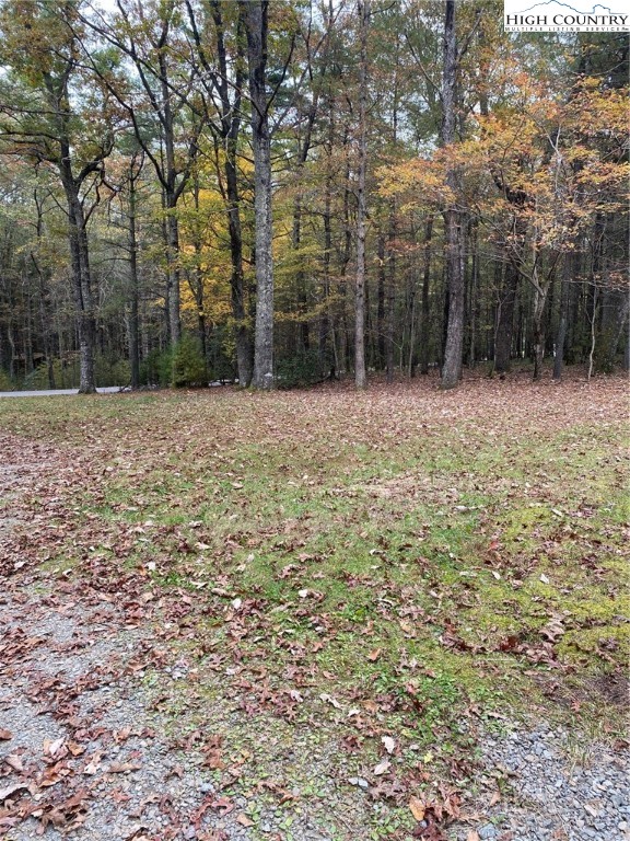 652 Brooks Road Glade Valley, NC 28627 - Photo 17 of 17 Gallery Image 17