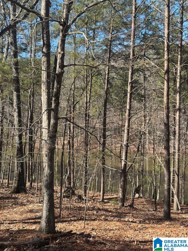 1 Mountain Top Road, Unit 1 Trussville, AL 35173 - Photo 6 of 17