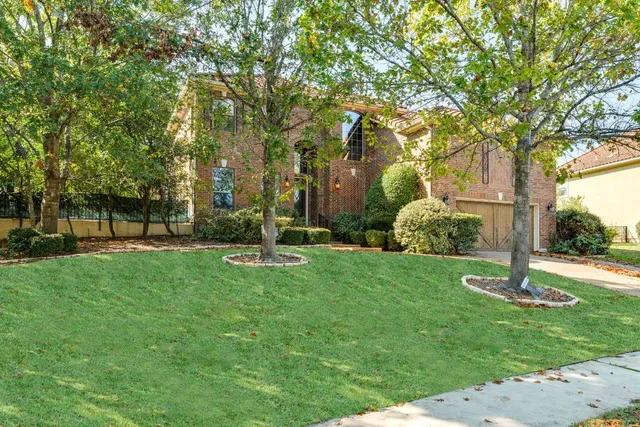 a view of a garden with a tree