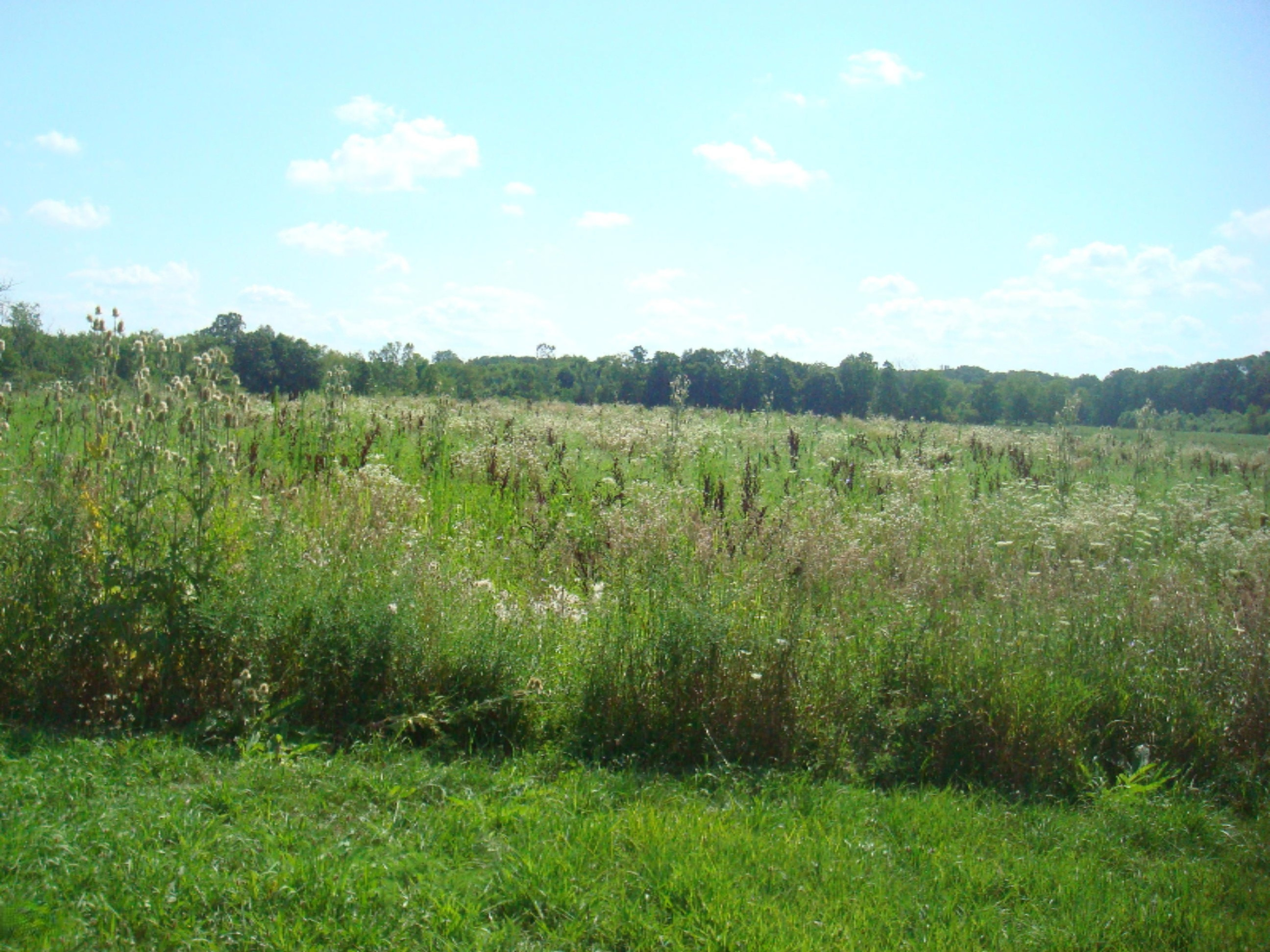 14291 Pioneer Road Camden, MI 49232 - Photo 29 of 37 9125-12 (4)