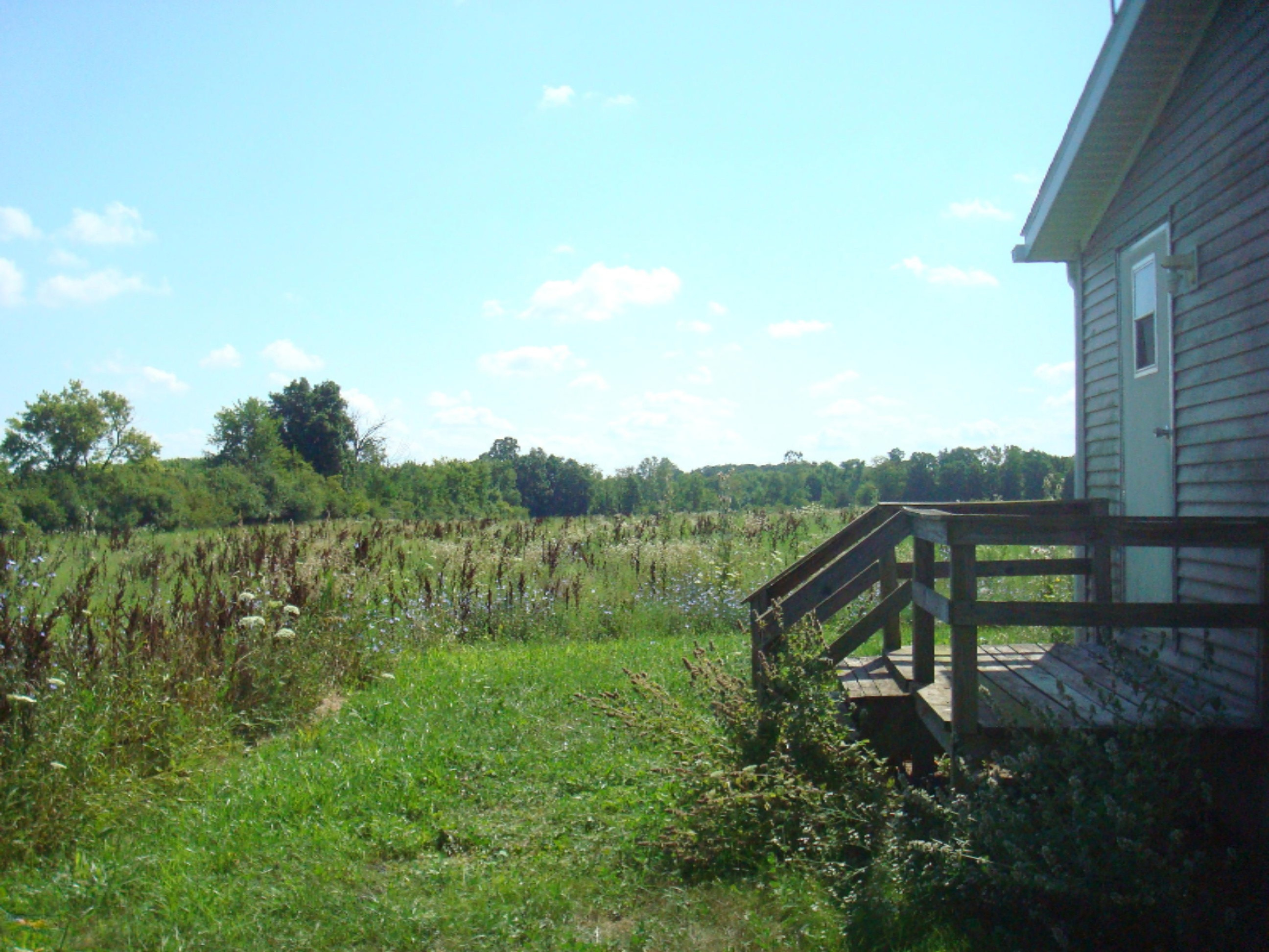 14291 Pioneer Road Camden, MI 49232 - Photo 31 of 37 9125-13 (2)