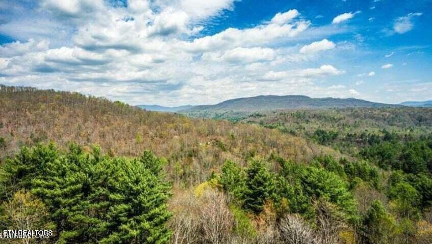 39 Green Ridge Trail Harriman, TN 37748 - Photo 1 of 4 39