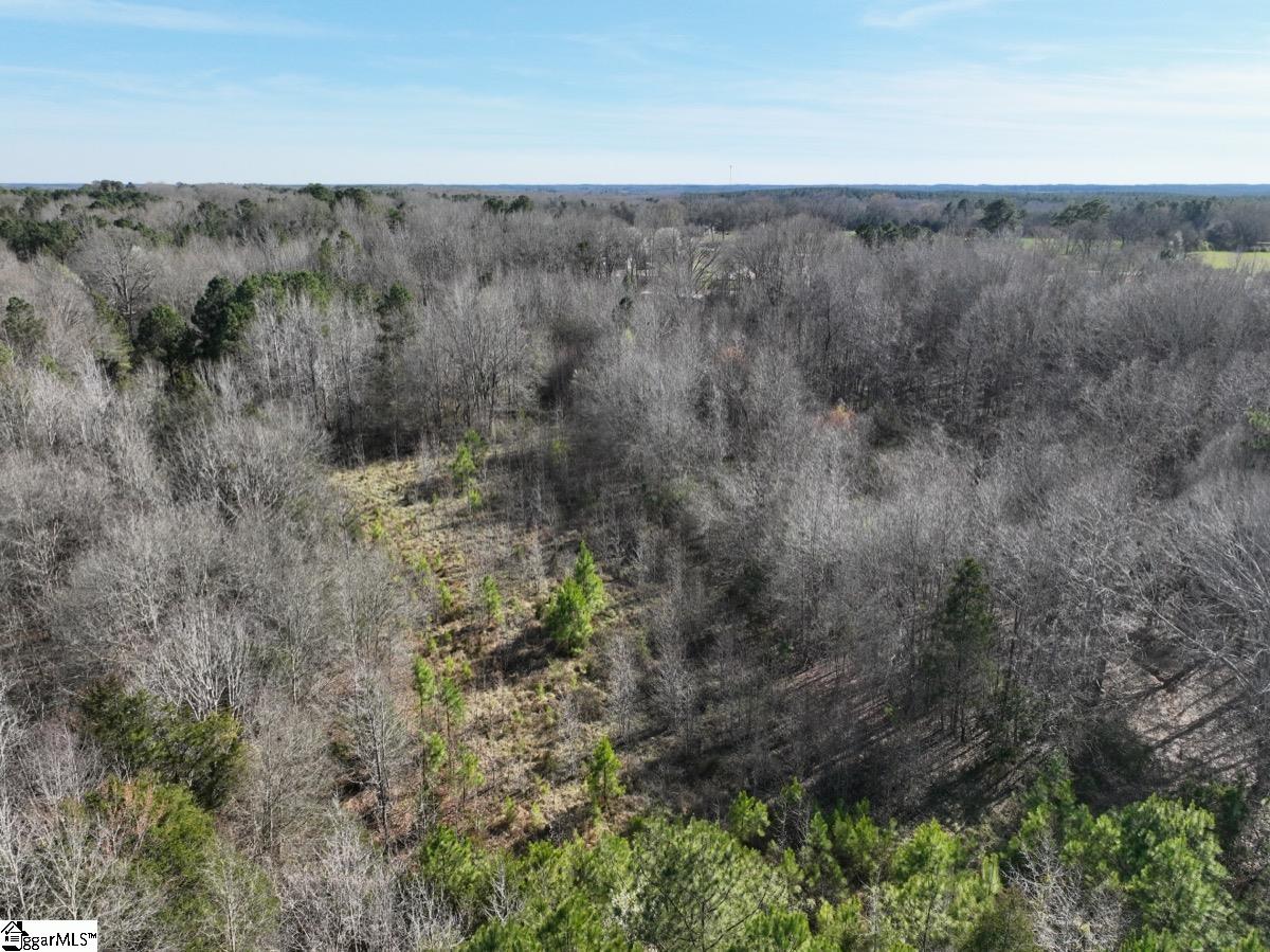 3465 Highway 92 Enoree, SC 29335 - Photo 43 of 45