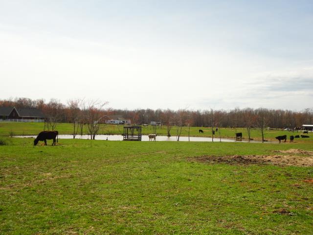 6787 Maple Springs Road Manchester, TN 37355 - Photo 3 of 20 This home and property has a stocked POND!