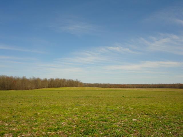 6787 Maple Springs Road Manchester, TN 37355 - Photo 4 of 20 View of the land across from the home