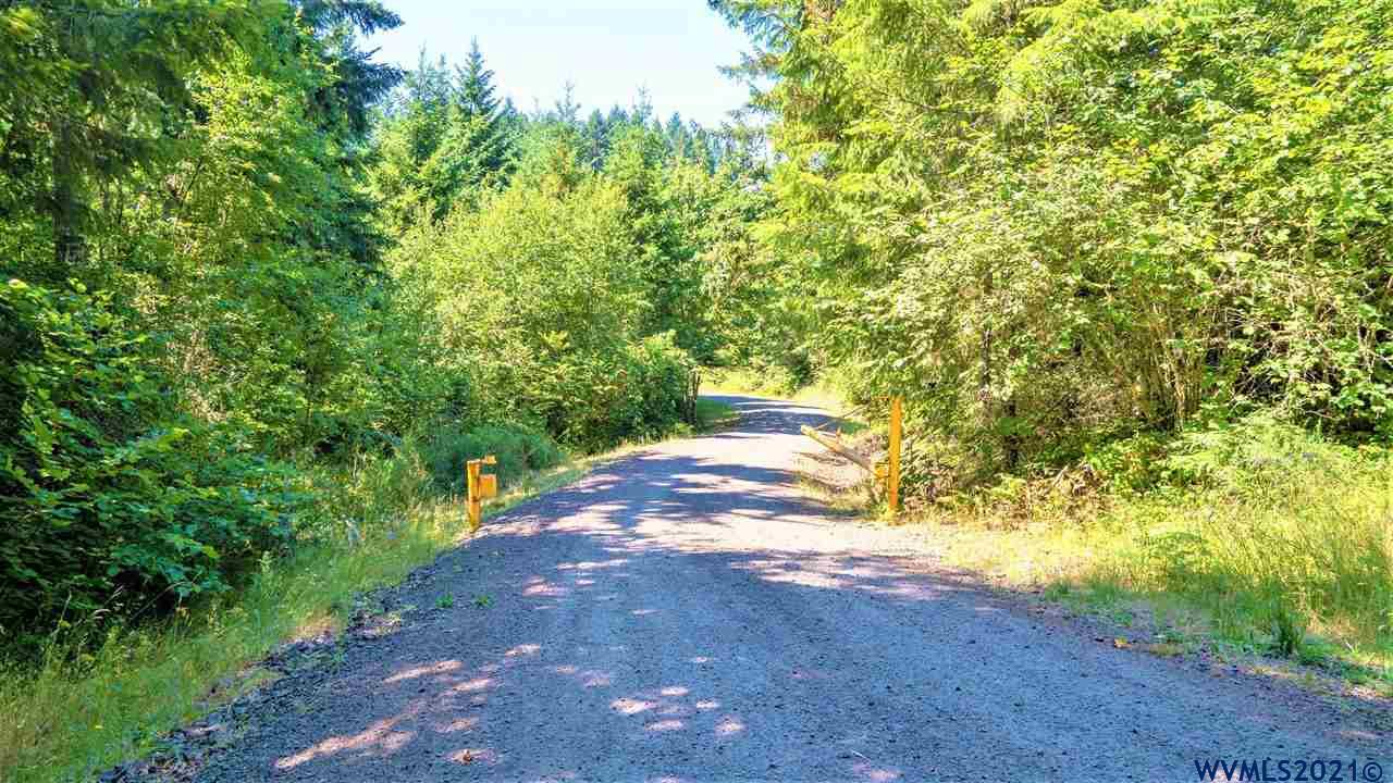 Tl804 Hall Road Cheshire, OR 97419 - Photo 2 of 17 Gallery Image 2