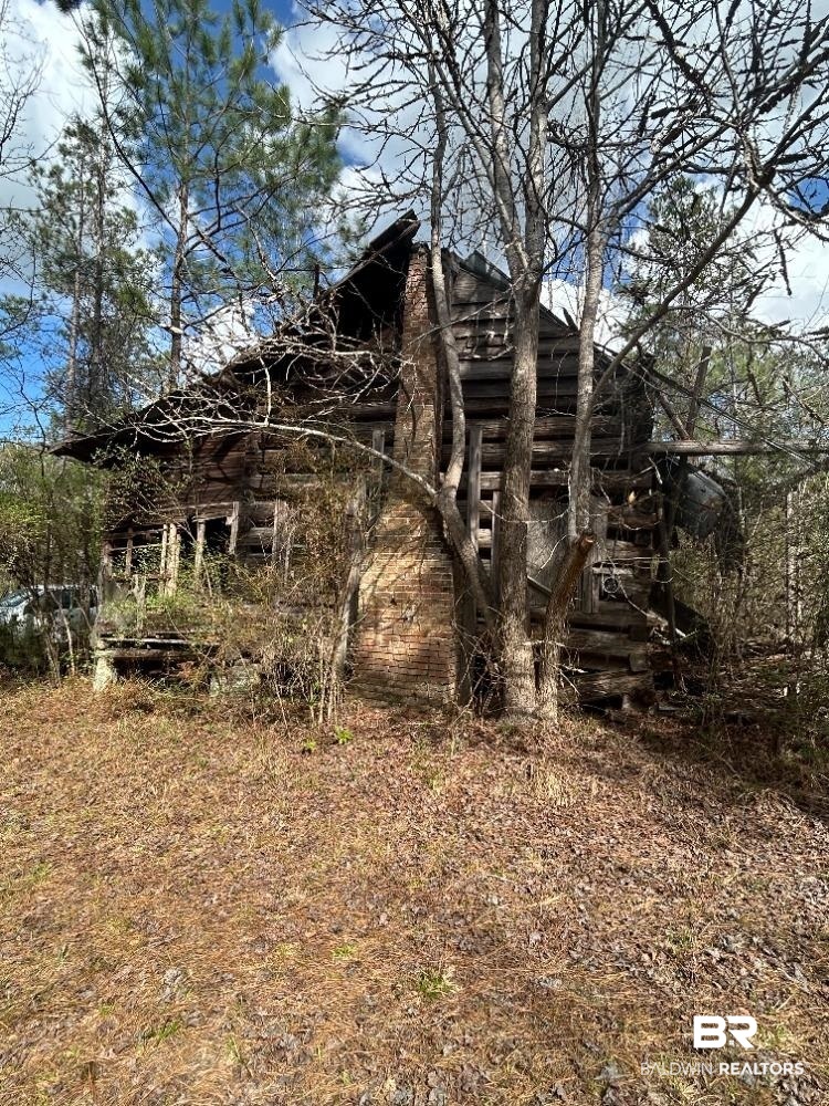 0 Murder Creek Road Brewton, AL 36426 - Photo 4 of 8 View of local wilderness