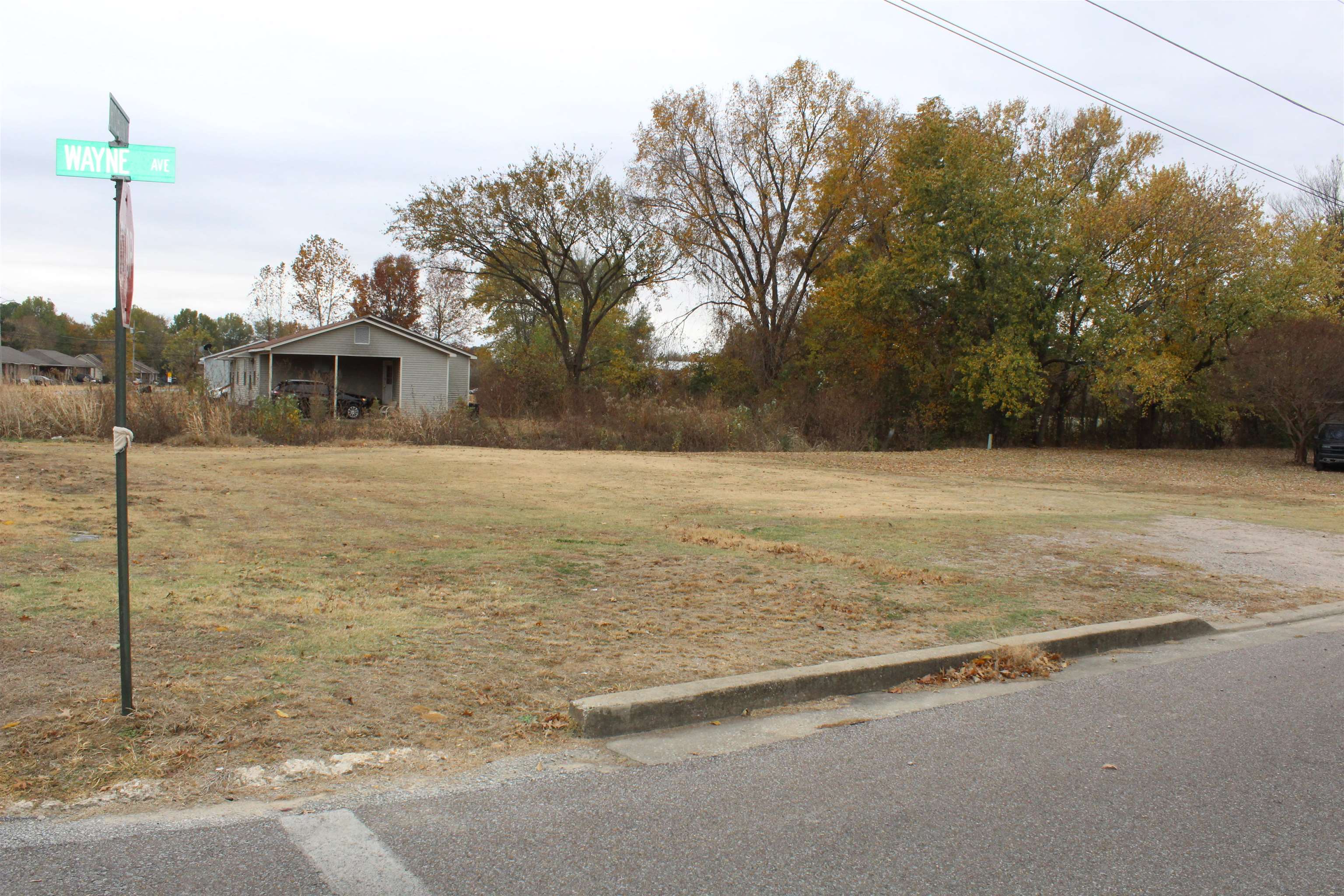 0 Wayne Avenue Ripley, TN 38063 - Photo 6 of 8 a view of a house with a yard