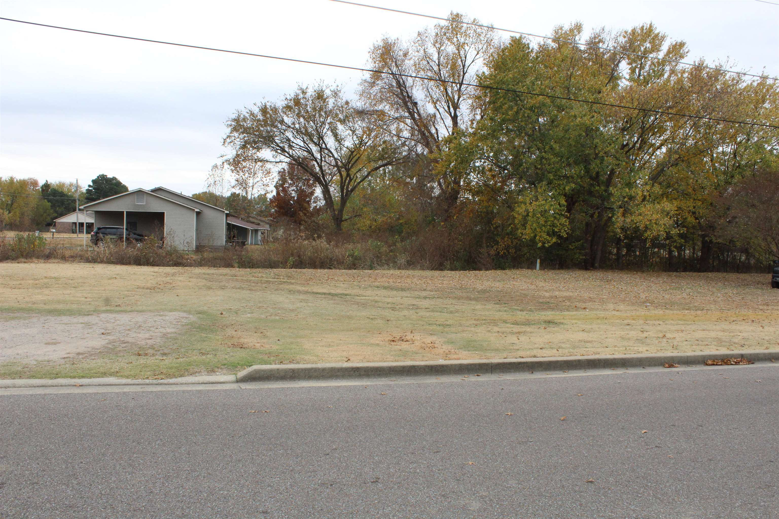 0 Wayne Avenue Ripley, TN 38063 - Photo 8 of 8 a view of a yard with a house