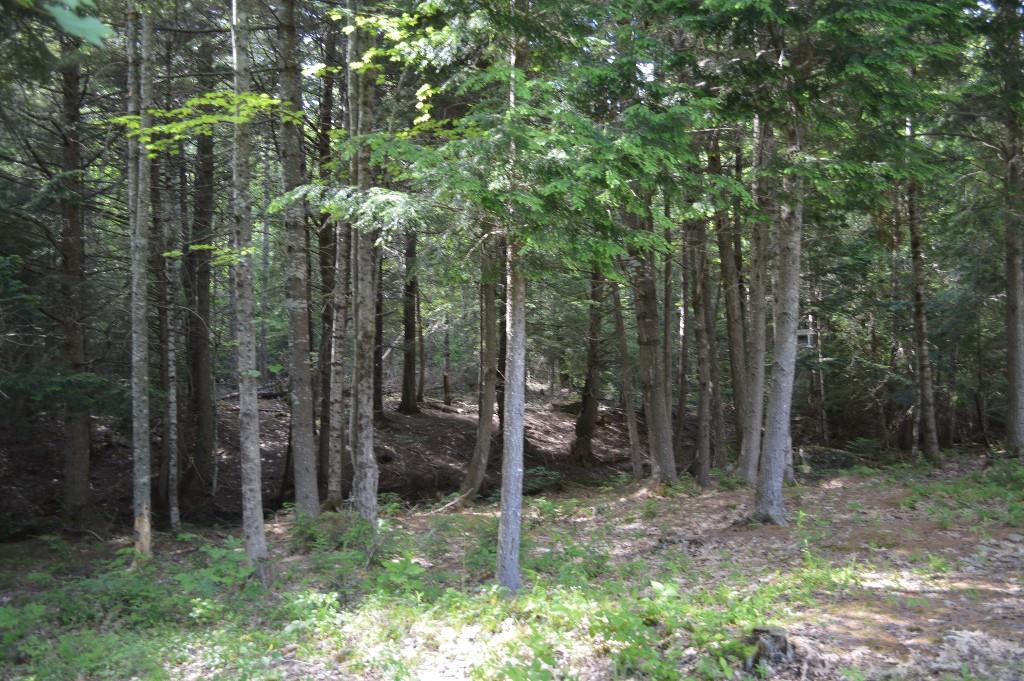 49 Kingsbury Road Holden, ME 04429 - Photo 3 of 35 Photo