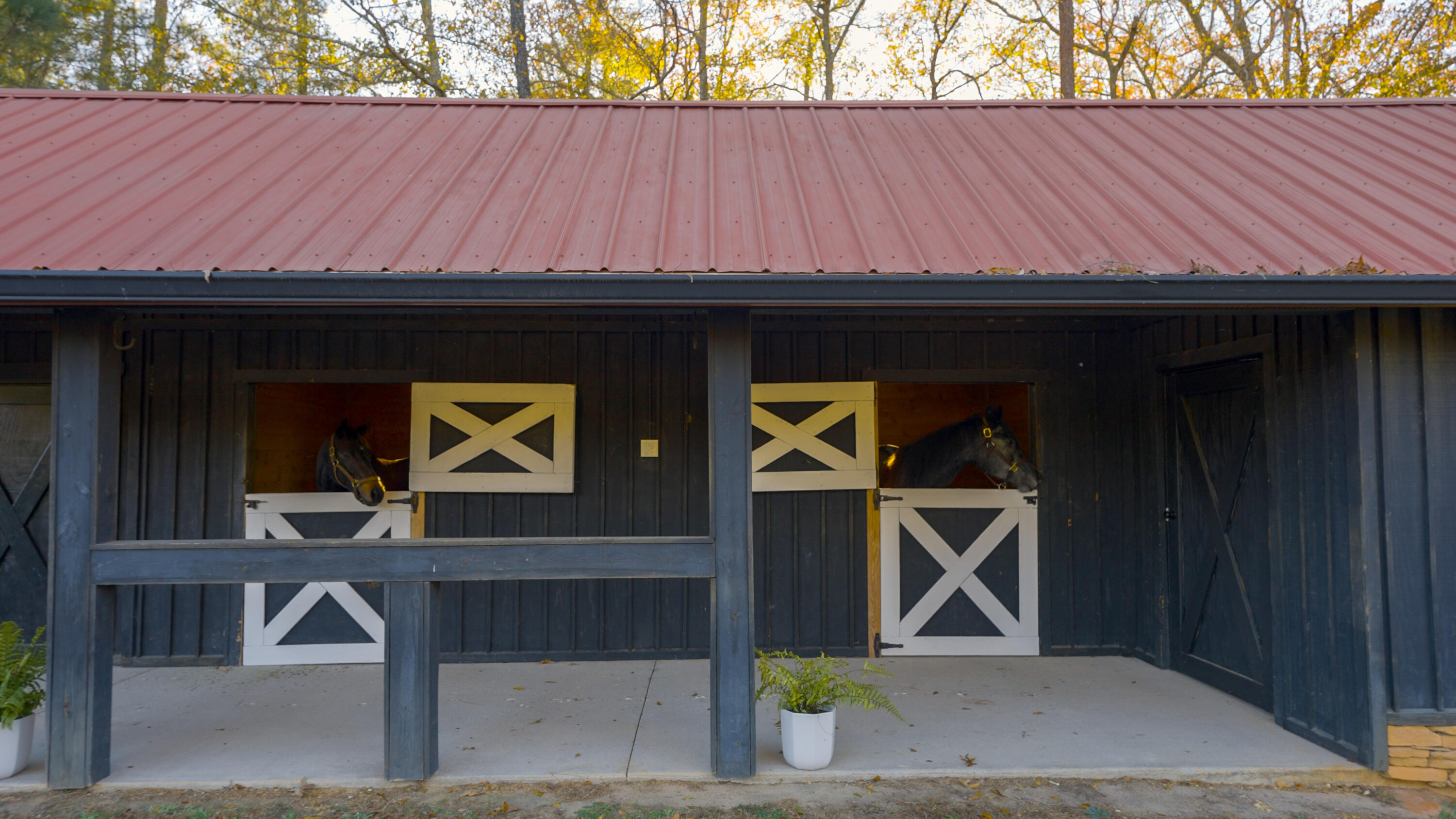 199 Hayden Road Aiken, SC 29805 - Photo 100 of 119