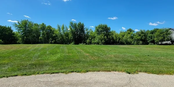 a view of a grassy field with trees in the background