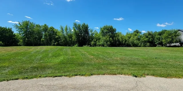 a view of a grassy field with trees in the background