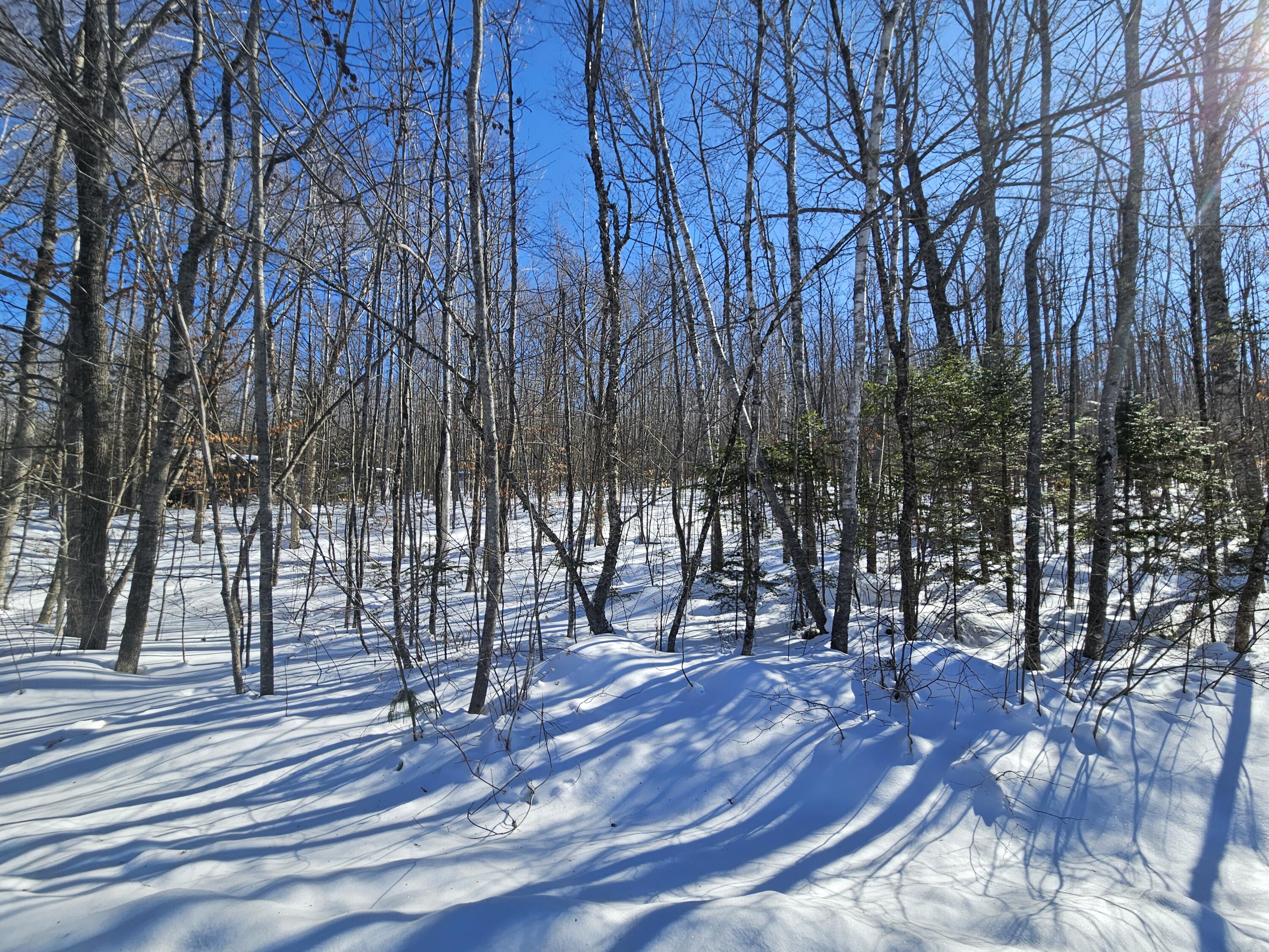 M-17-l-15 York Hill Road New Sharon, ME 04955 - Photo 12 of 15 20260209_112450