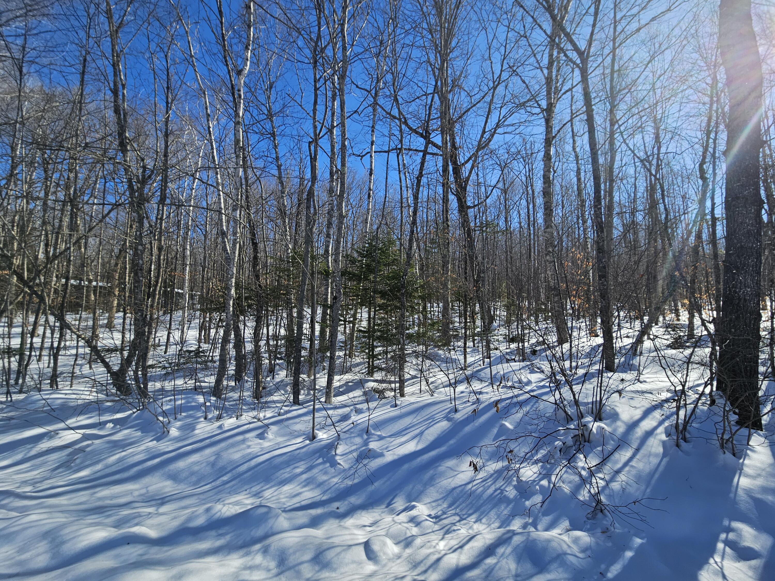 M-17-l-15 York Hill Road New Sharon, ME 04955 - Photo 13 of 15 20260209_113157