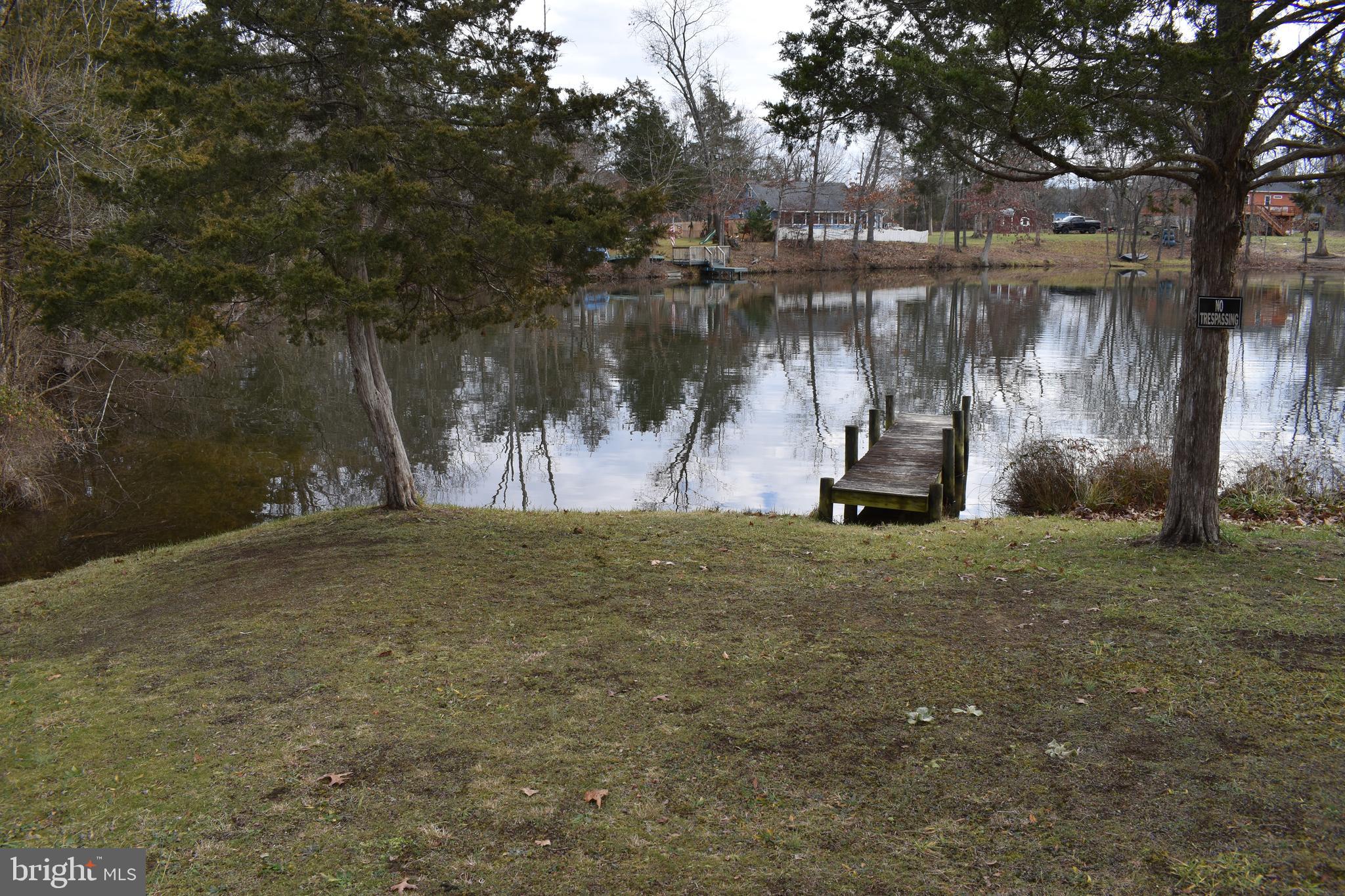 180 Lake Ridge Road Strasburg, VA 22657 - Photo 15 of 28 Park like setting to relax.