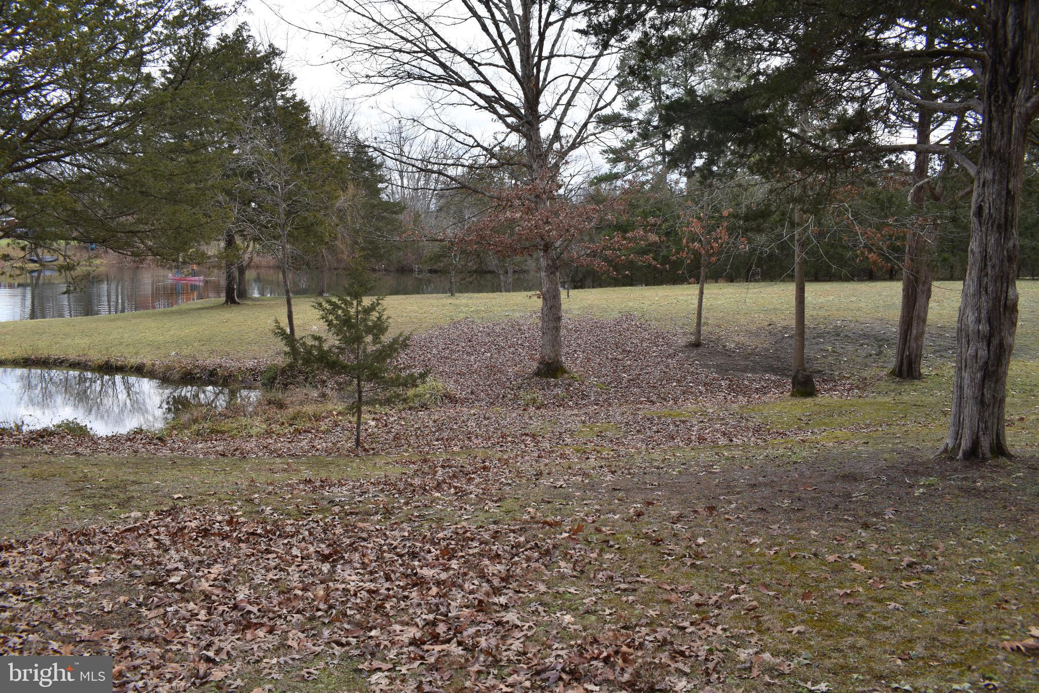 180 Lake Ridge Road Strasburg, VA 22657 - Photo 17 of 28