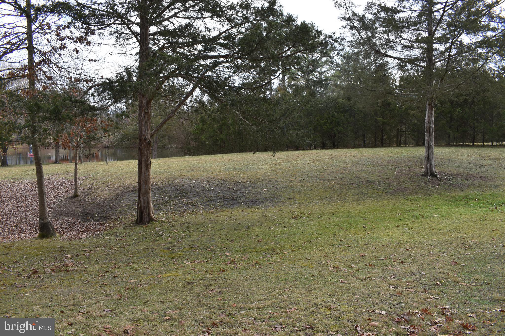 180 Lake Ridge Road Strasburg, VA 22657 - Photo 18 of 28
