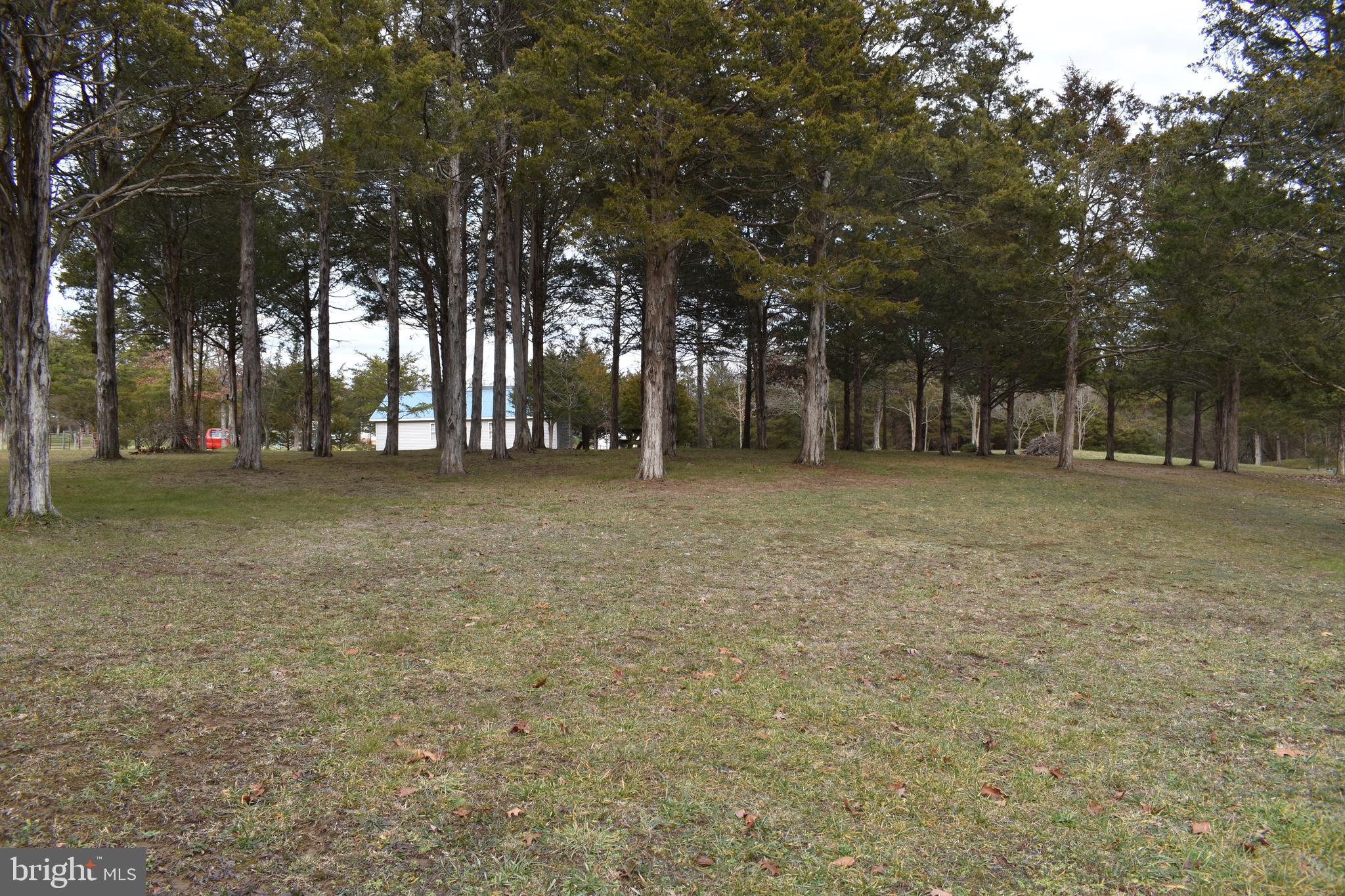 180 Lake Ridge Road Strasburg, VA 22657 - Photo 19 of 28