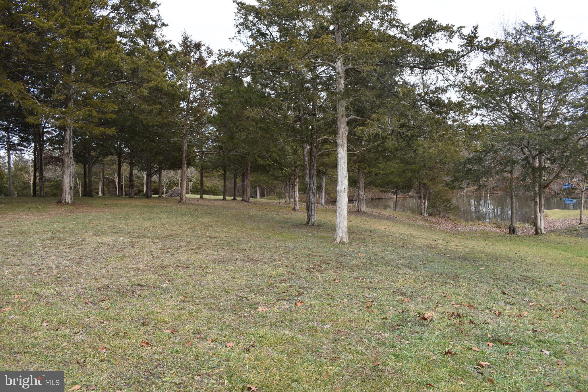 180 Lake Ridge Road Strasburg, VA 22657 - Photo 20 of 28