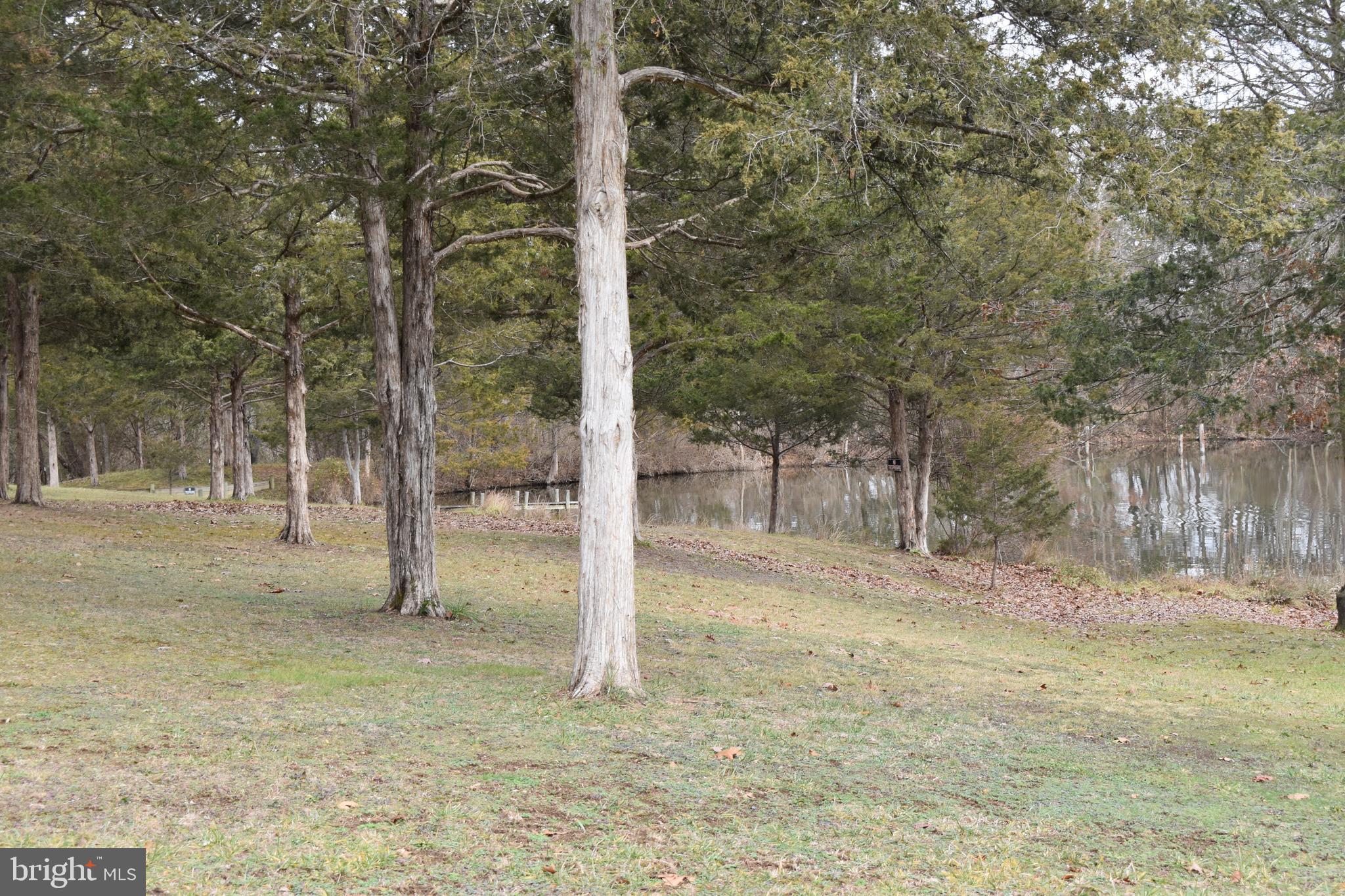 180 Lake Ridge Road Strasburg, VA 22657 - Photo 21 of 28