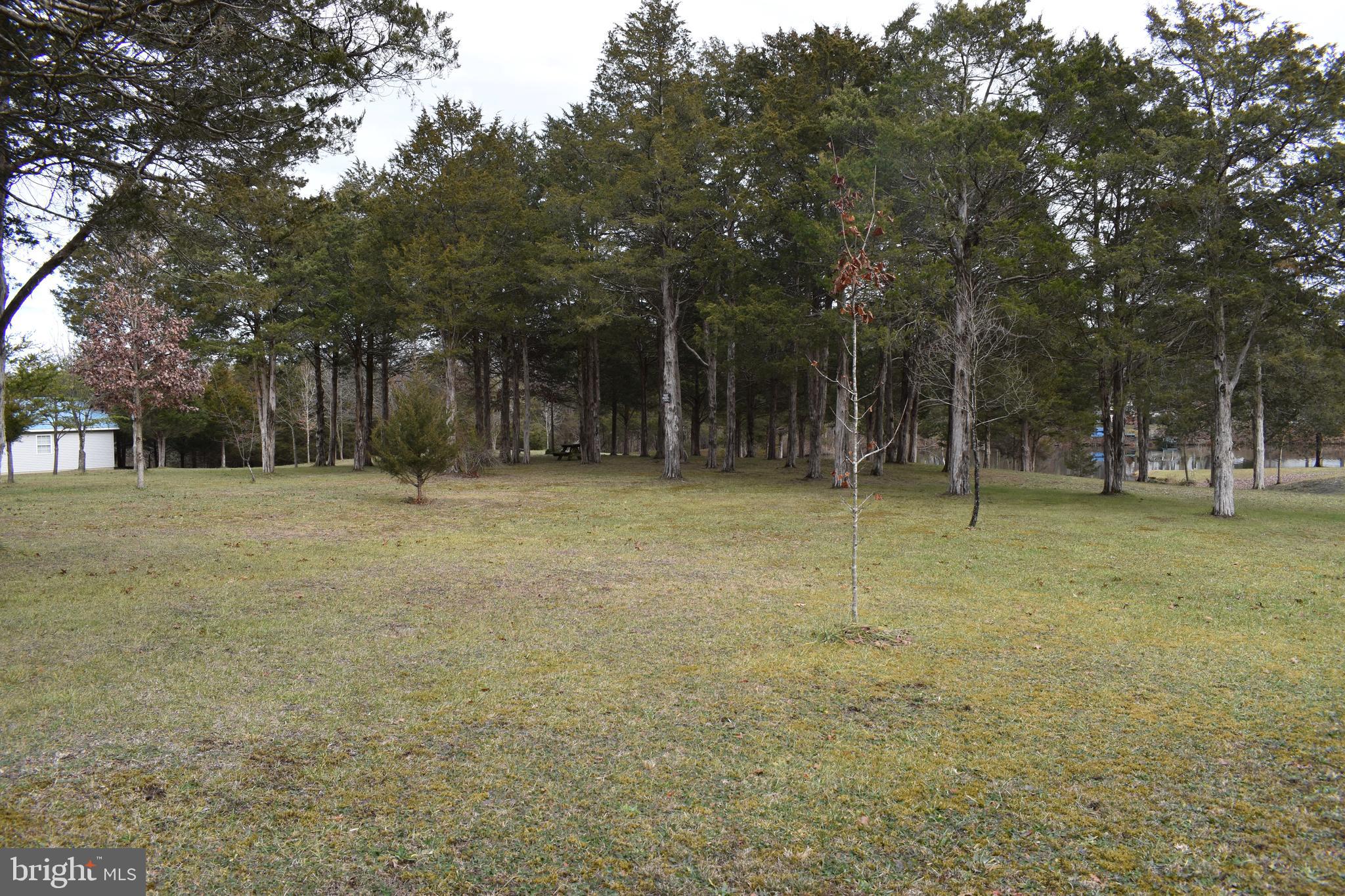 180 Lake Ridge Road Strasburg, VA 22657 - Photo 23 of 28