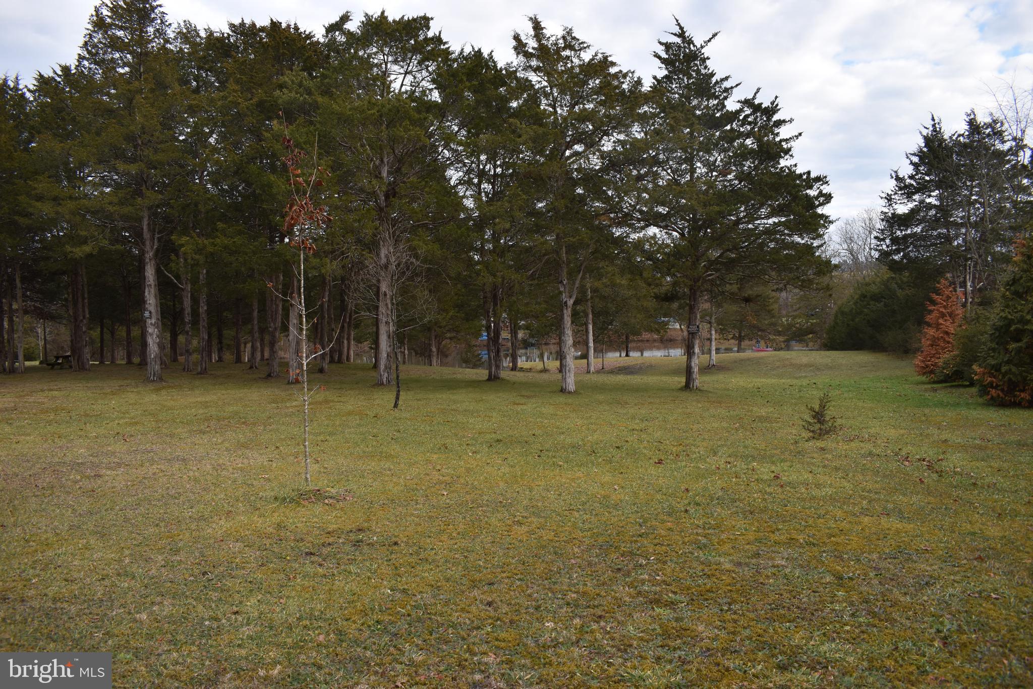 180 Lake Ridge Road Strasburg, VA 22657 - Photo 24 of 28