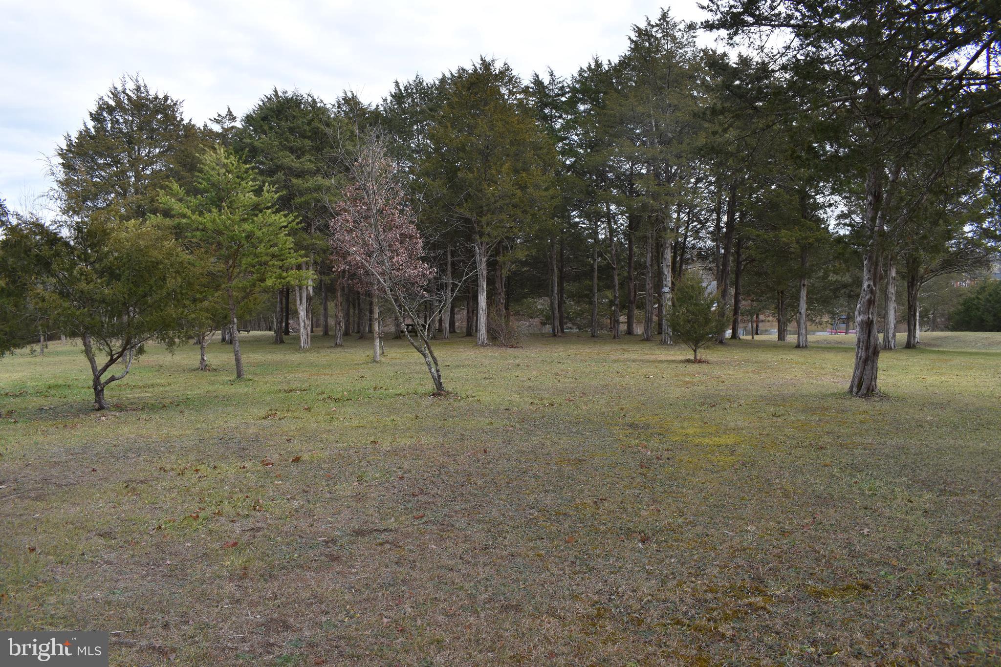 180 Lake Ridge Road Strasburg, VA 22657 - Photo 26 of 28