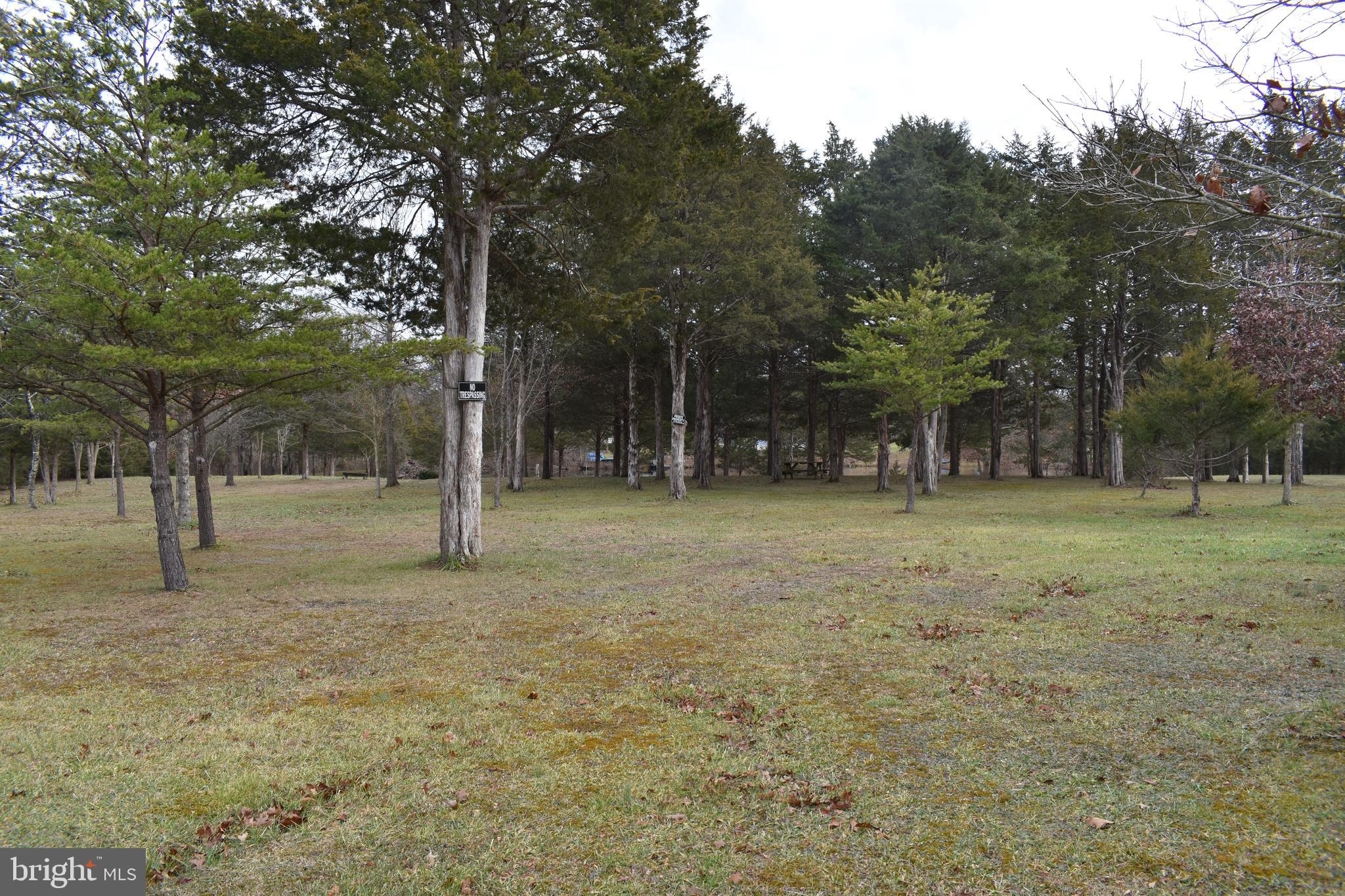 180 Lake Ridge Road Strasburg, VA 22657 - Photo 27 of 28