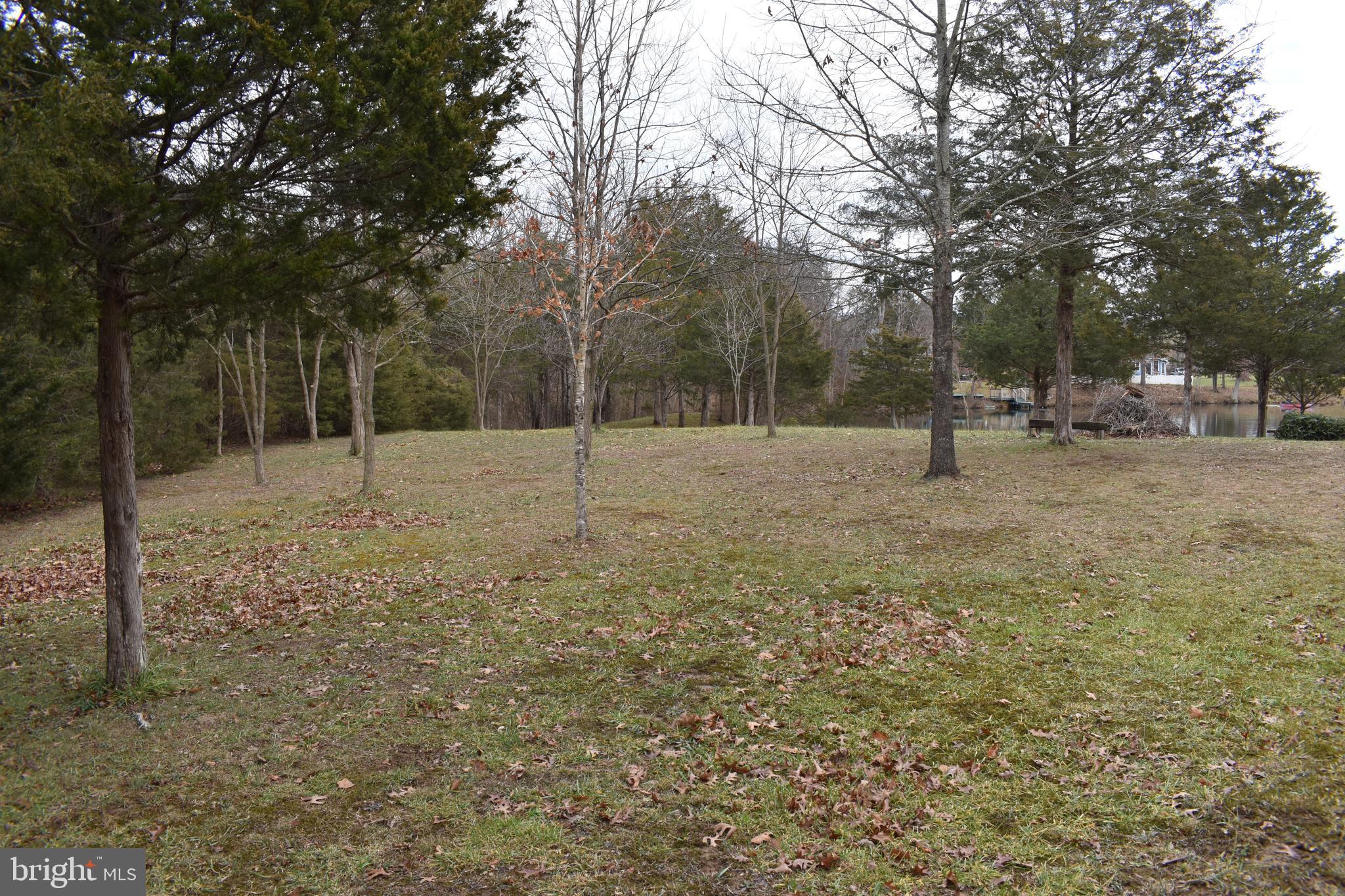 180 Lake Ridge Road Strasburg, VA 22657 - Photo 7 of 28