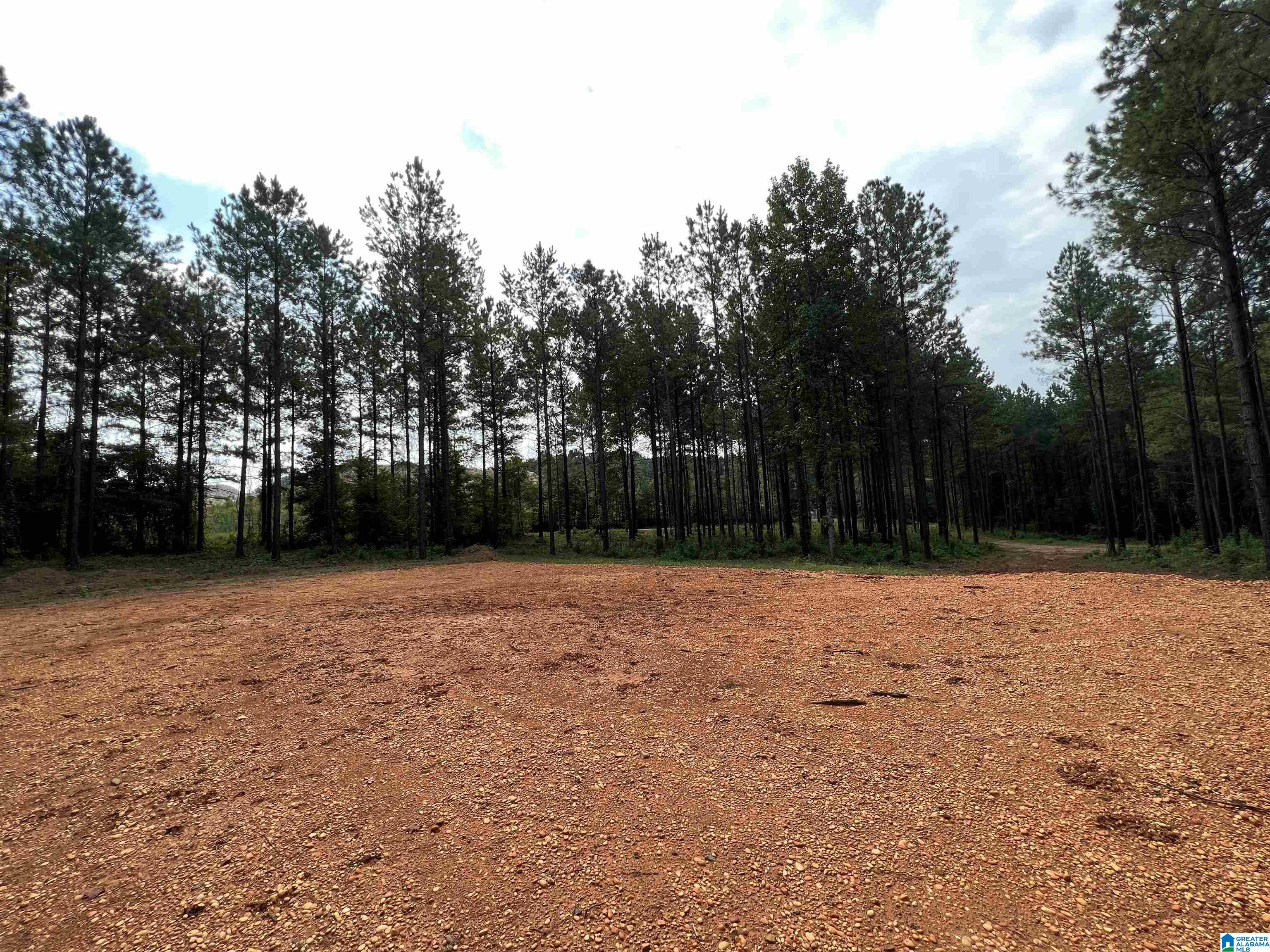 0 Bama Rock Garden Road Cottondale, AL 35453 - Photo 5 of 11