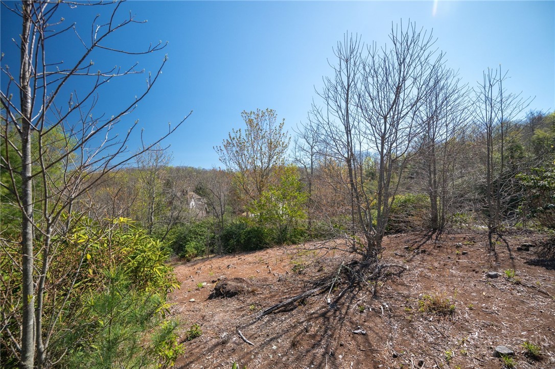 Owls Brow Ridge Blowing Rock, NC 28605 - Photo 2 of 32 a view of a backyard of the house