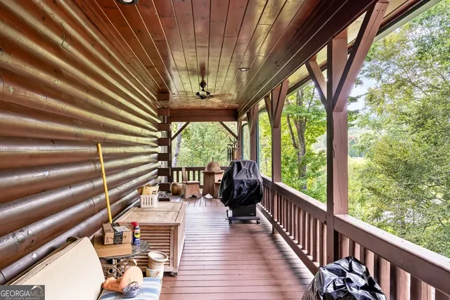 a view of a park with large trees