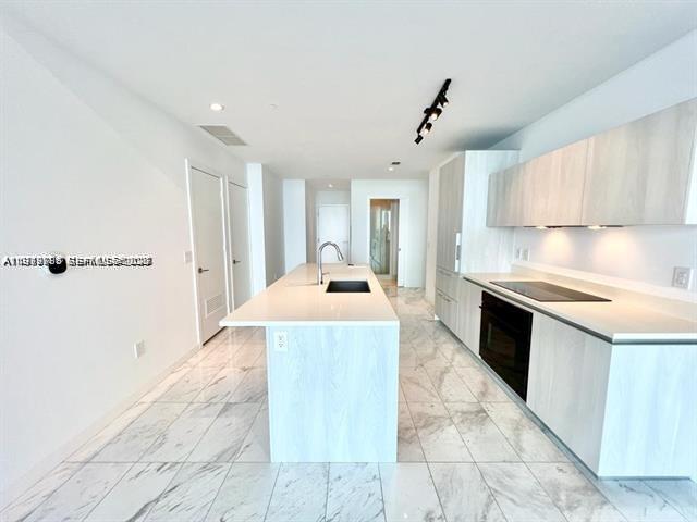 480 Northeast 31st Street, Unit 902 Miami, FL 33137 - Photo 7 of 33 a large kitchen with kitchen island a sink stainless steel appliances and cabinets