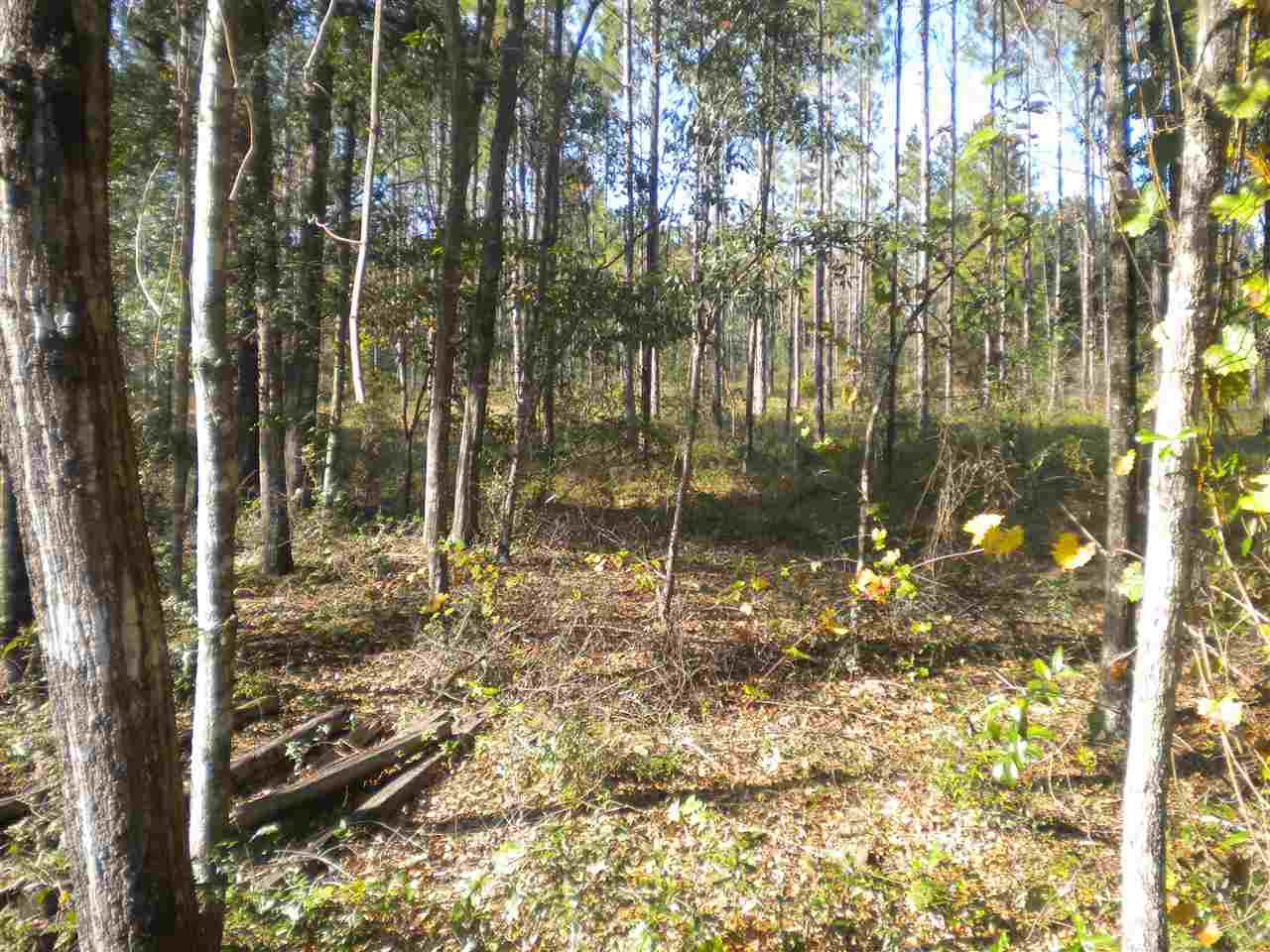 8737 Celia Road, Unit 1 Tallahassee, FL 32305 - Photo 4 of 25