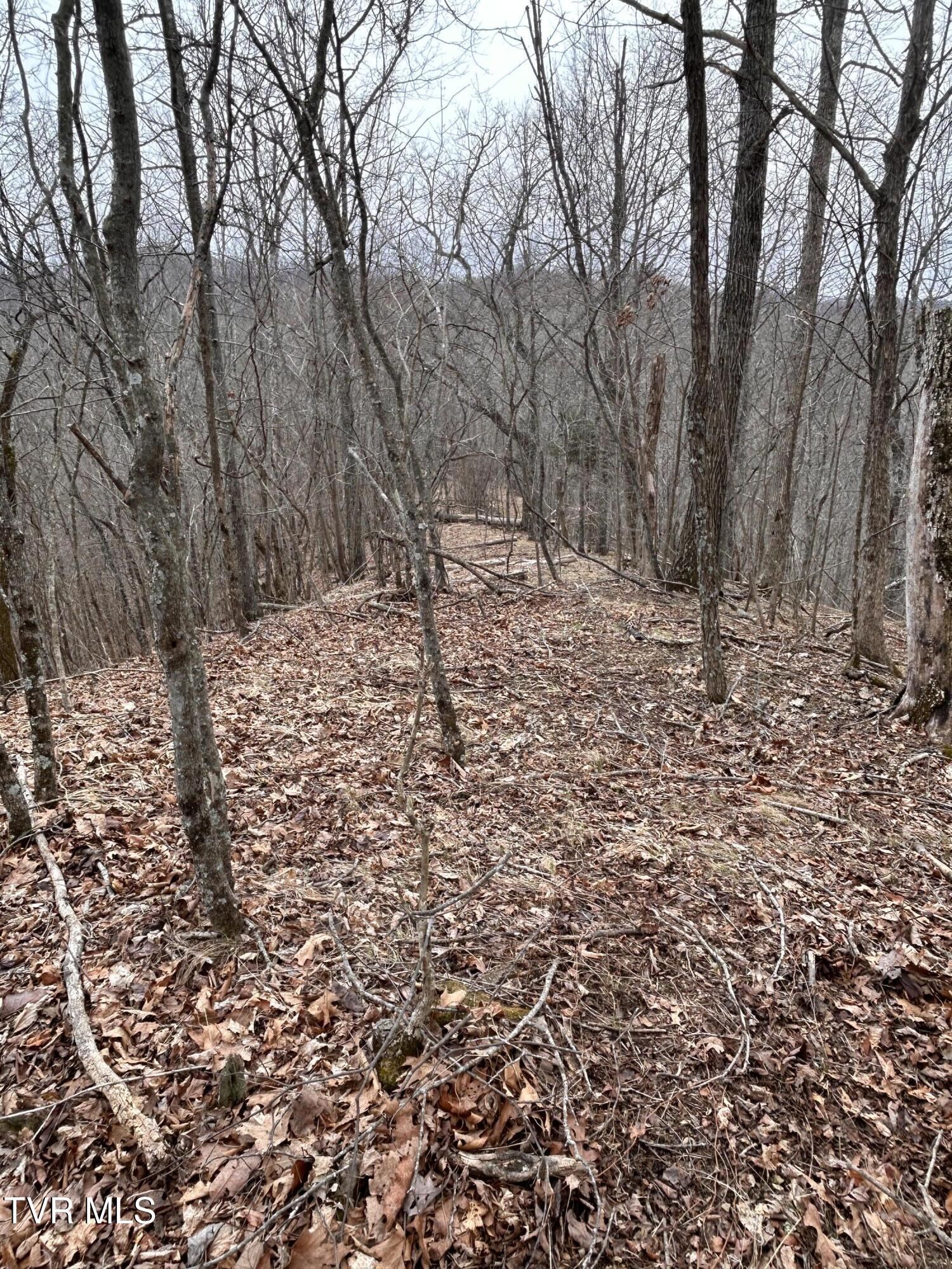 Tbd Toole Creek Road Abingdon, VA 24210 - Photo 19 of 25 *