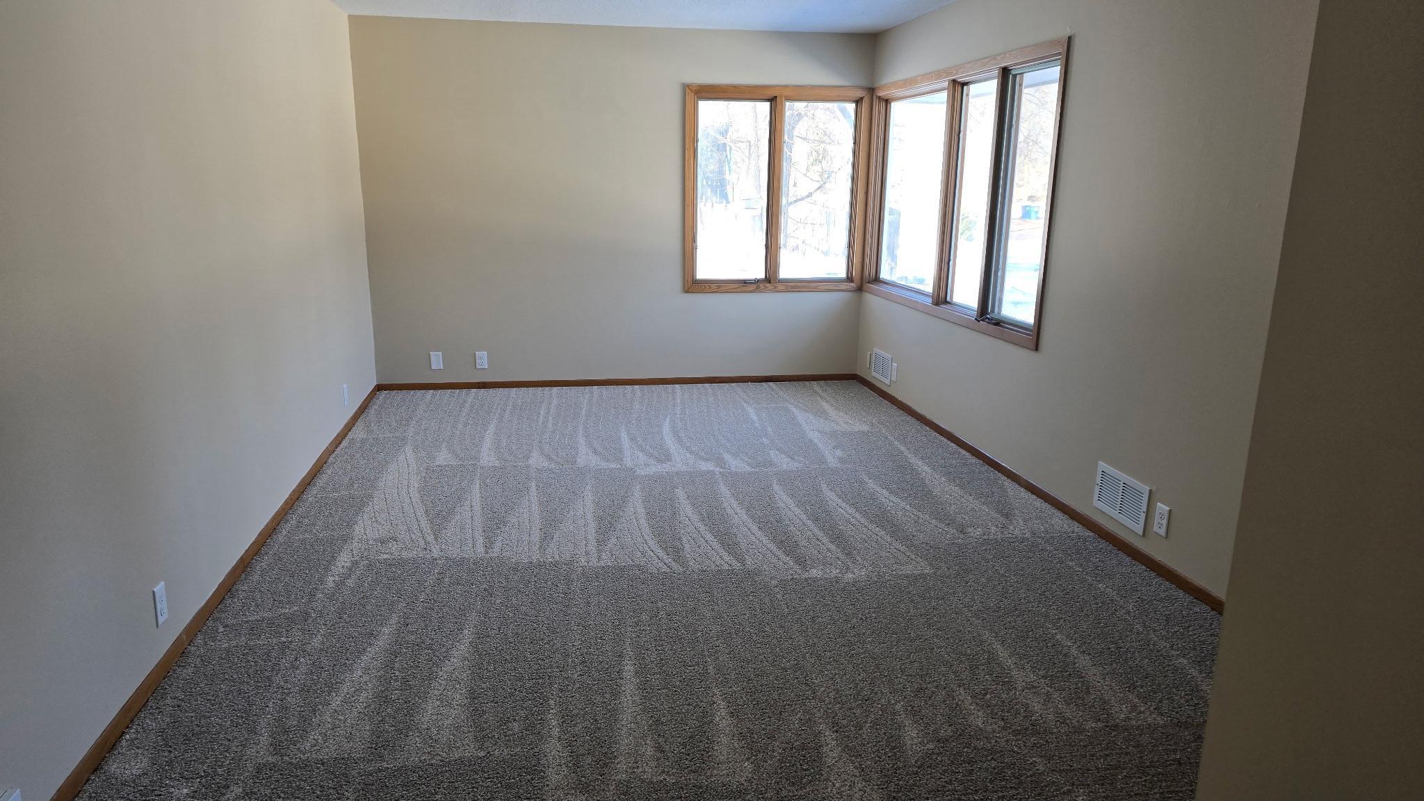 321 Buffalo Street Delano, MN 55328 - Photo 5 of 5