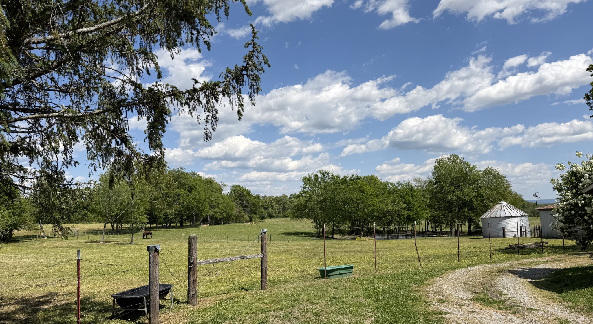 566 Clarence Finney Road Hillsboro, TN 37342 - Photo 35 of 47