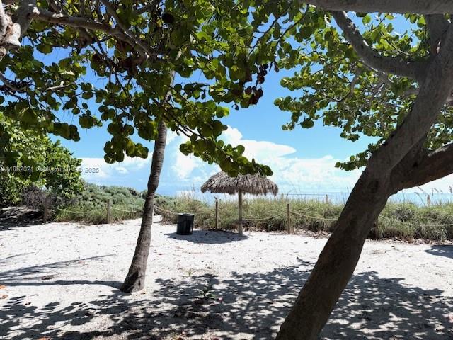 1121 Crandon Boulevard, Unit D702 Key Biscayne, FL 33149 - Photo 26 of 51 a view of a yard with a tree