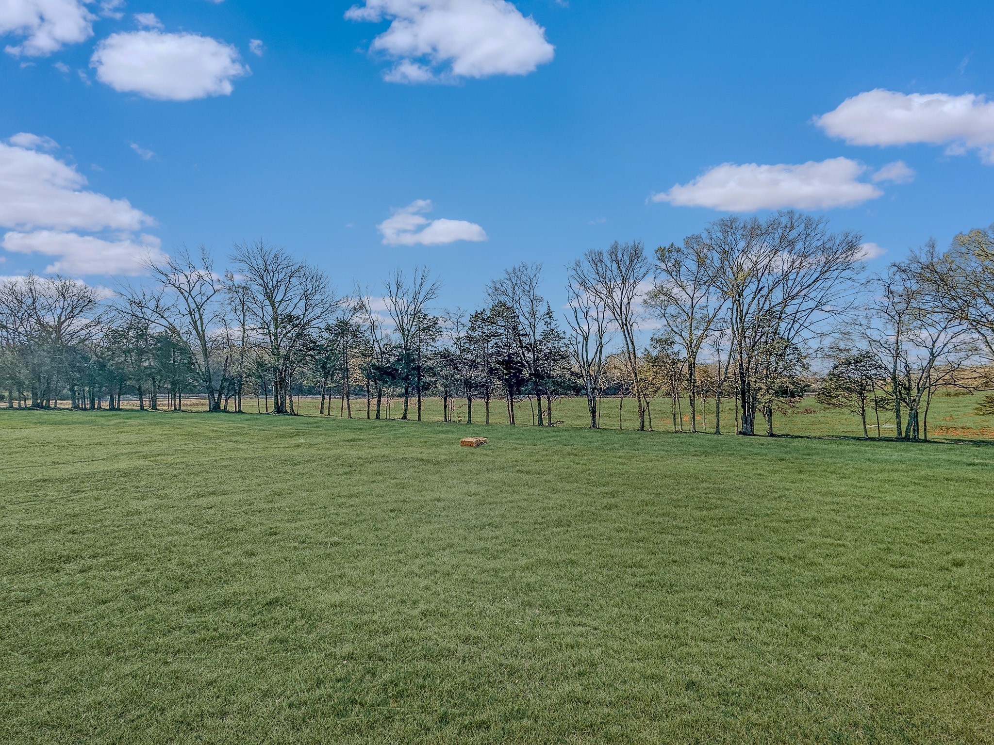 7004 Twelve Corners Road Lascassas, TN 37085 - Photo 20 of 67 a view of a green field